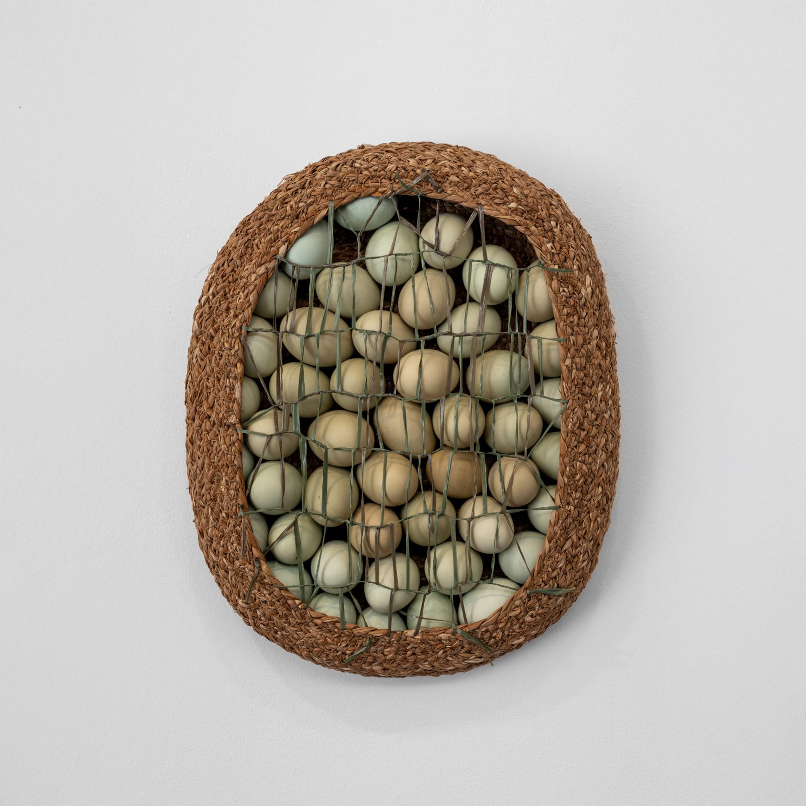 Dan Coopey, 4 douzen minus 1, 2025