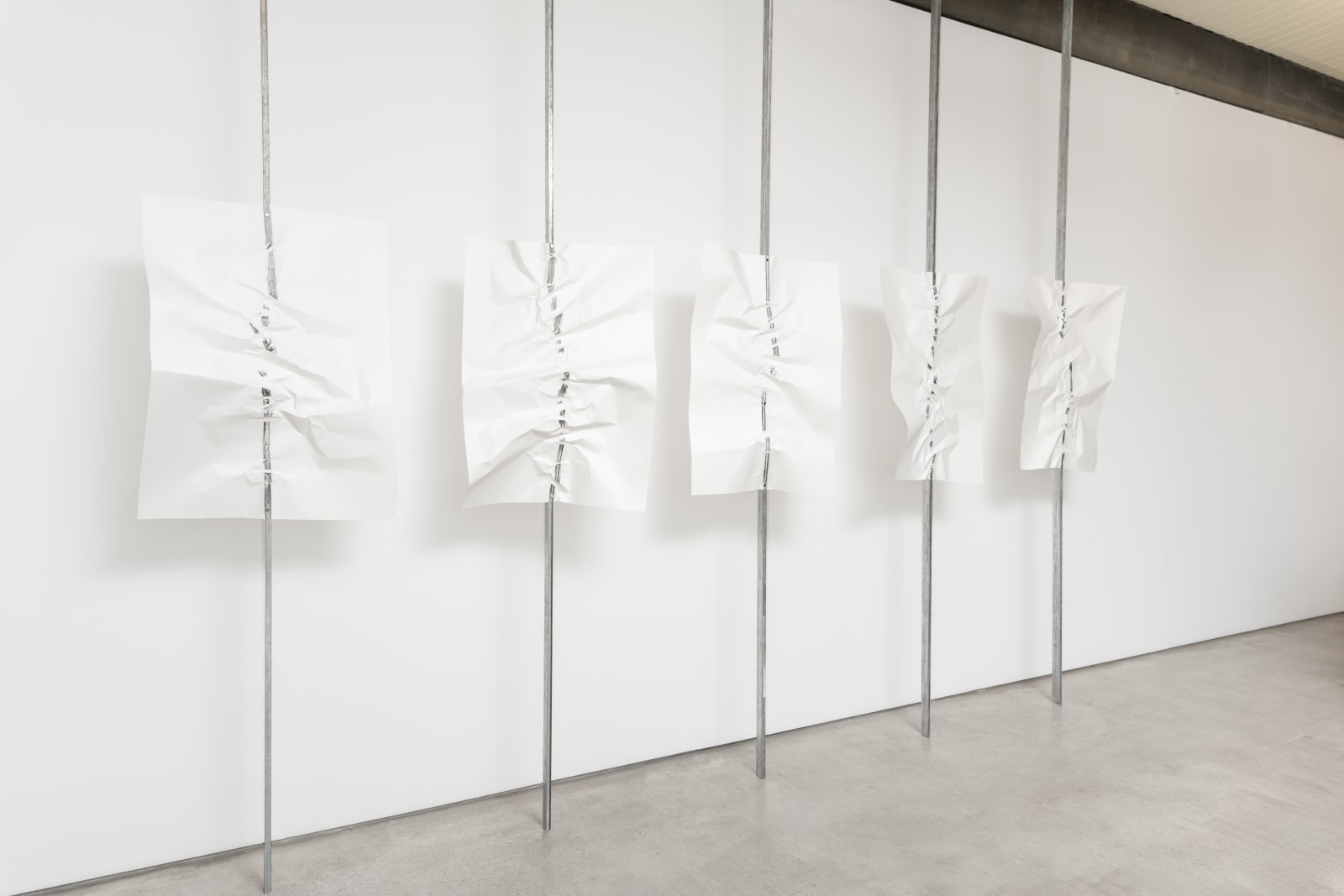 Eduardo Basualdo, Grito, 2014