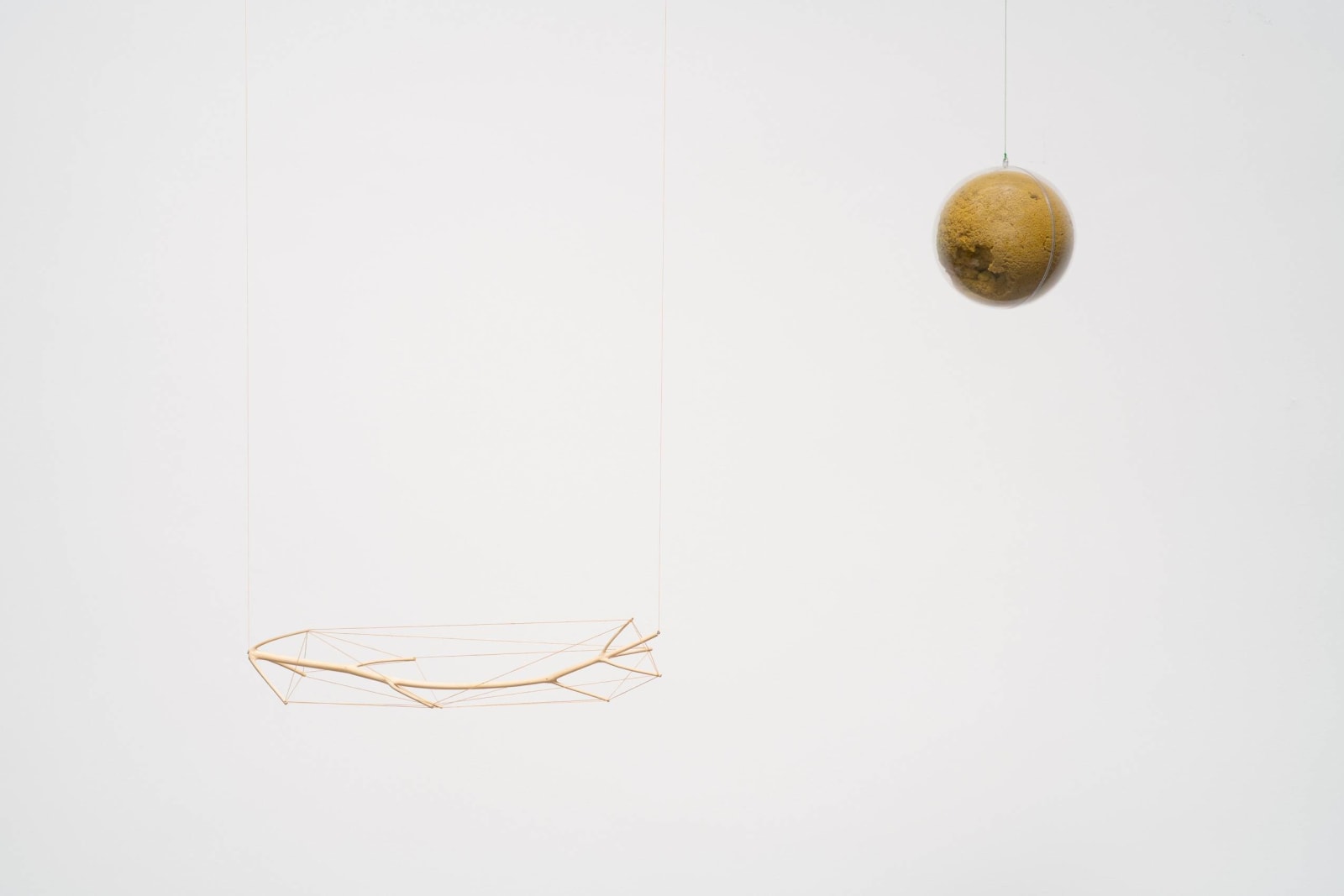 Nicolás Paris, Salón de clases para la curiosidad #2 o pensamiento en amarillo, 2018