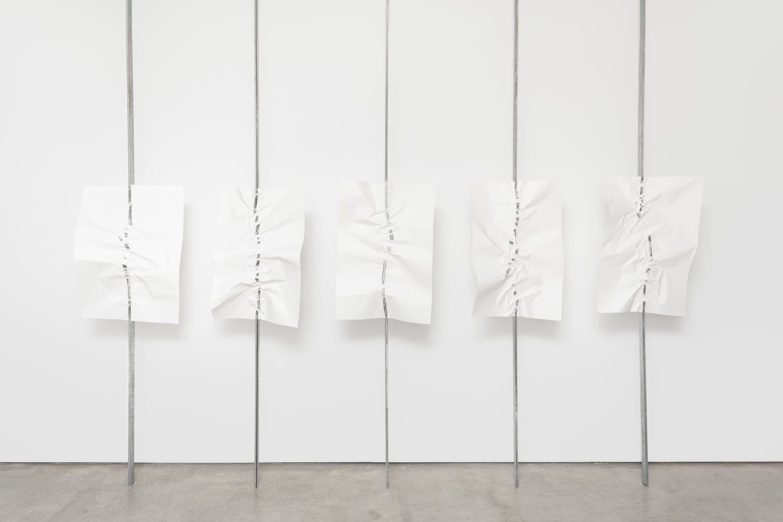 Eduardo Basualdo, Grito, 2014