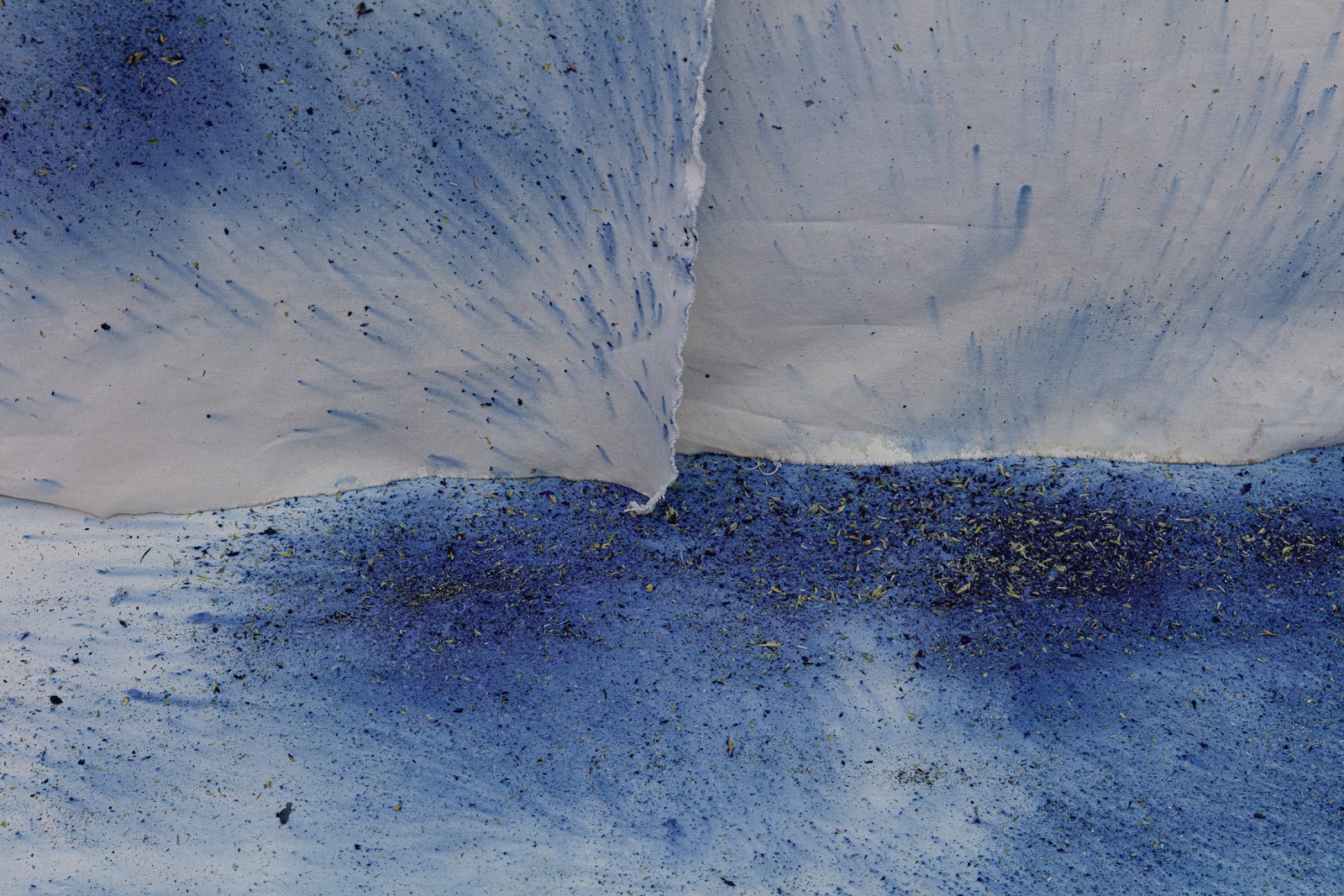 Juliana dos Santos, O tempo da cor [The time of the color], 2024