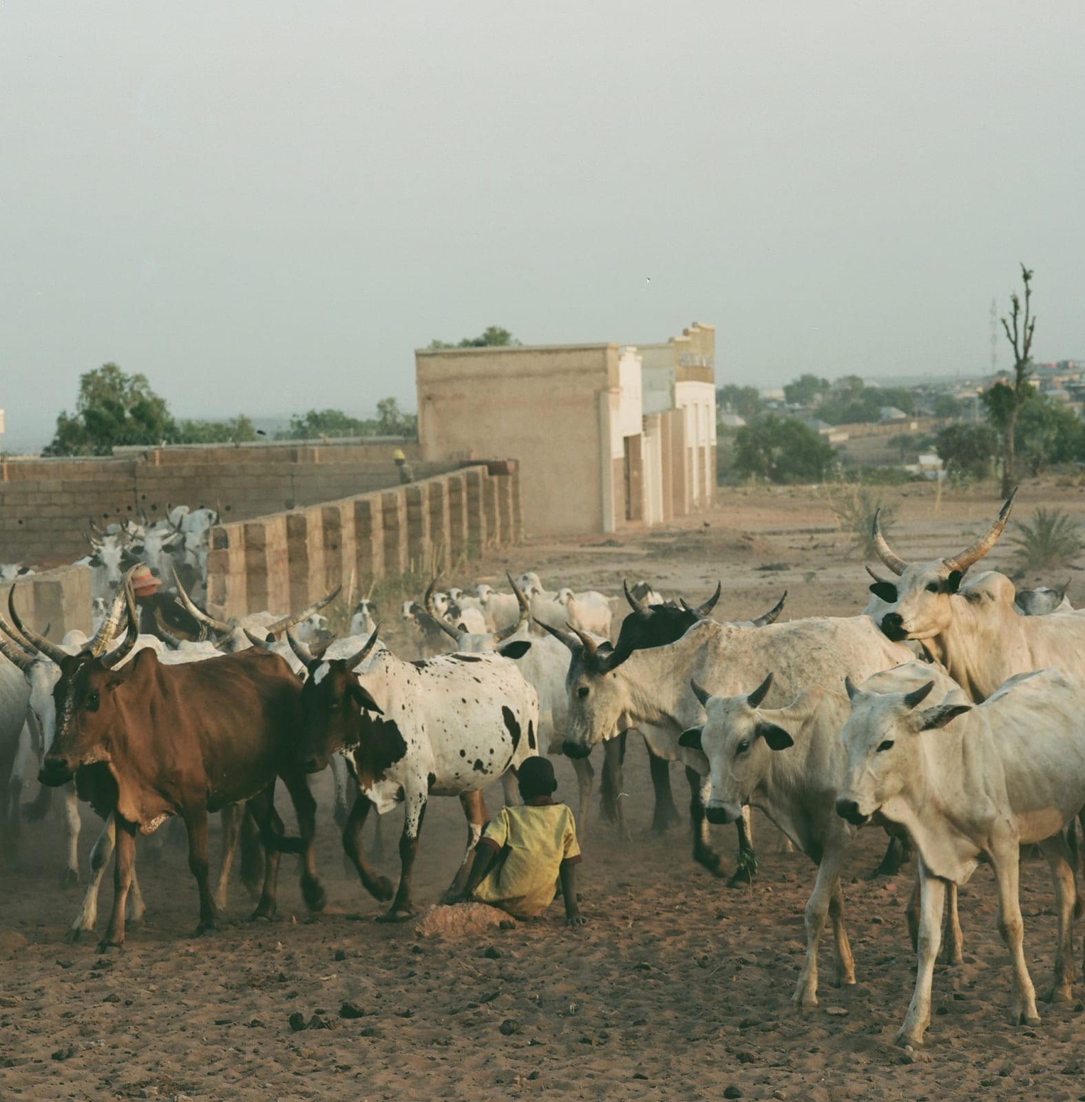 Yusuf Ahmed, Untitled