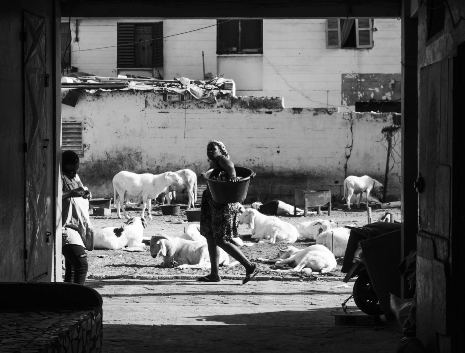 Ibrahima Ndoye | Meureuk, LE LABO 6, 2025