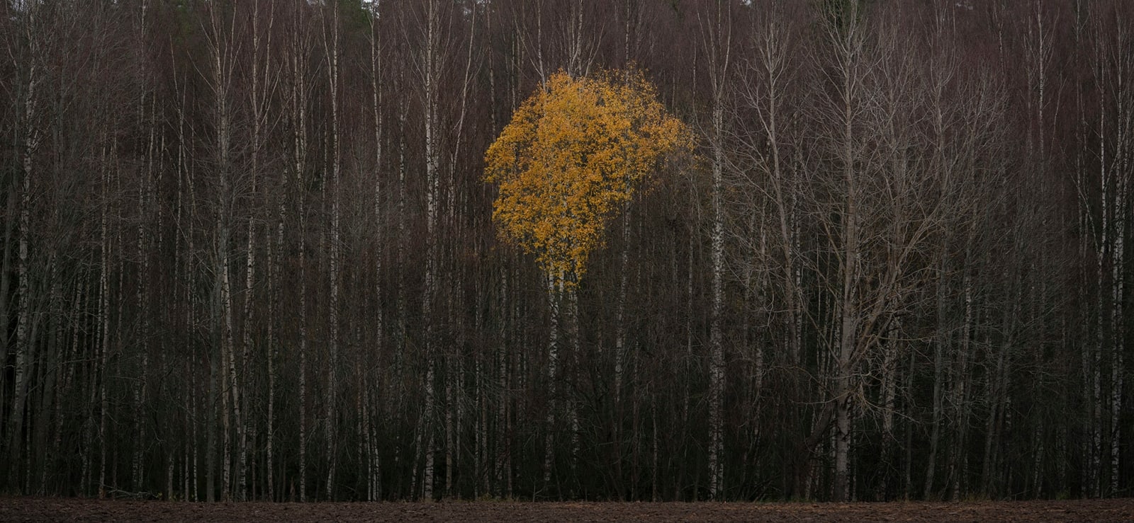 Antti Laitinen, Autumn Act I, 2021