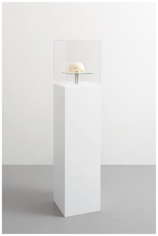 Kari Vehosalo, Object II (Skull), 2020
