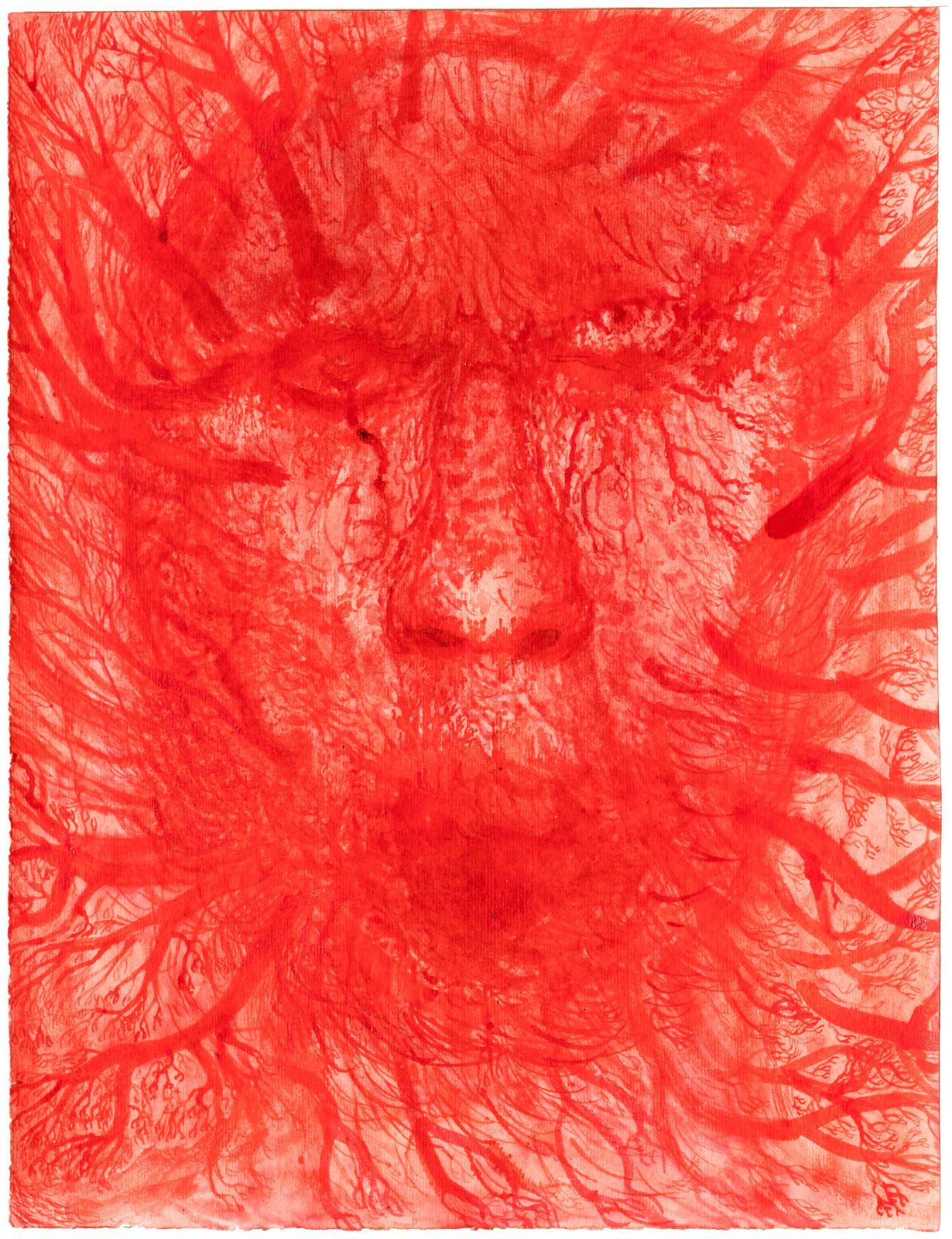 Elina Merenmies, Kasvoni ovat metsä / Mitt ansikte är en skog / My Face is a Forest, 2020