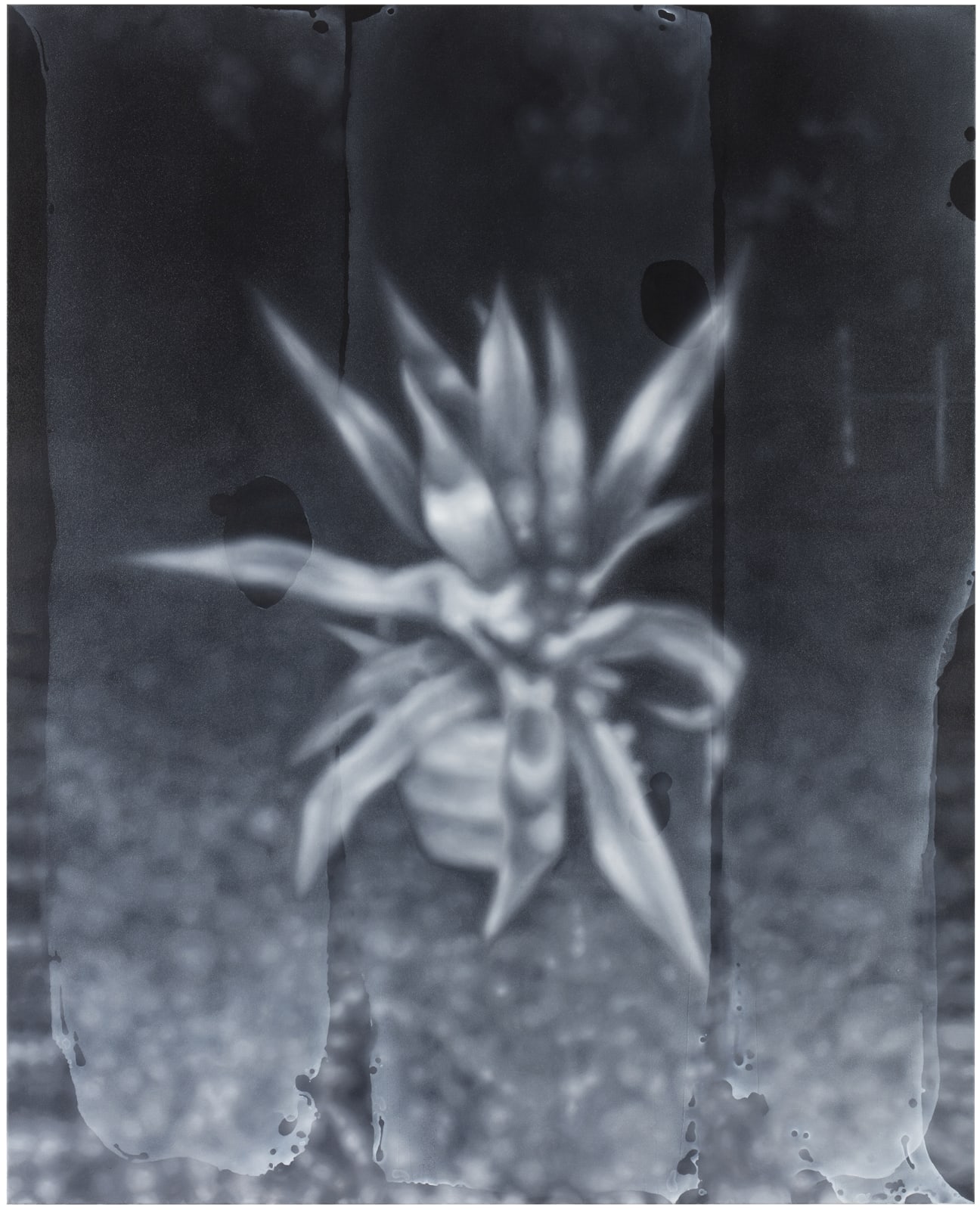 Kari Vehosalo, Still Life, 2021-22