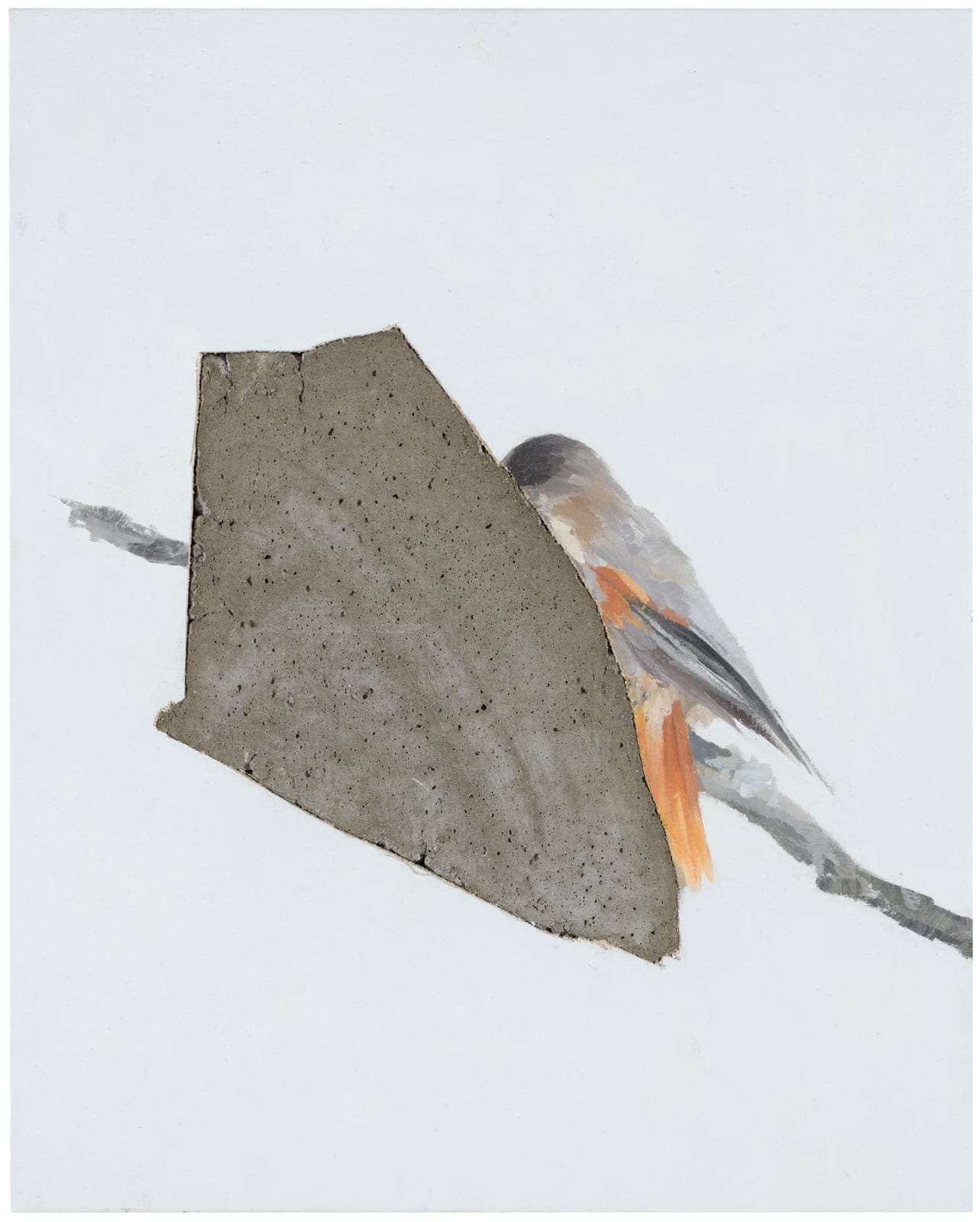 Päivi Takala, Imagecut, Siberian Jay V, 2021
