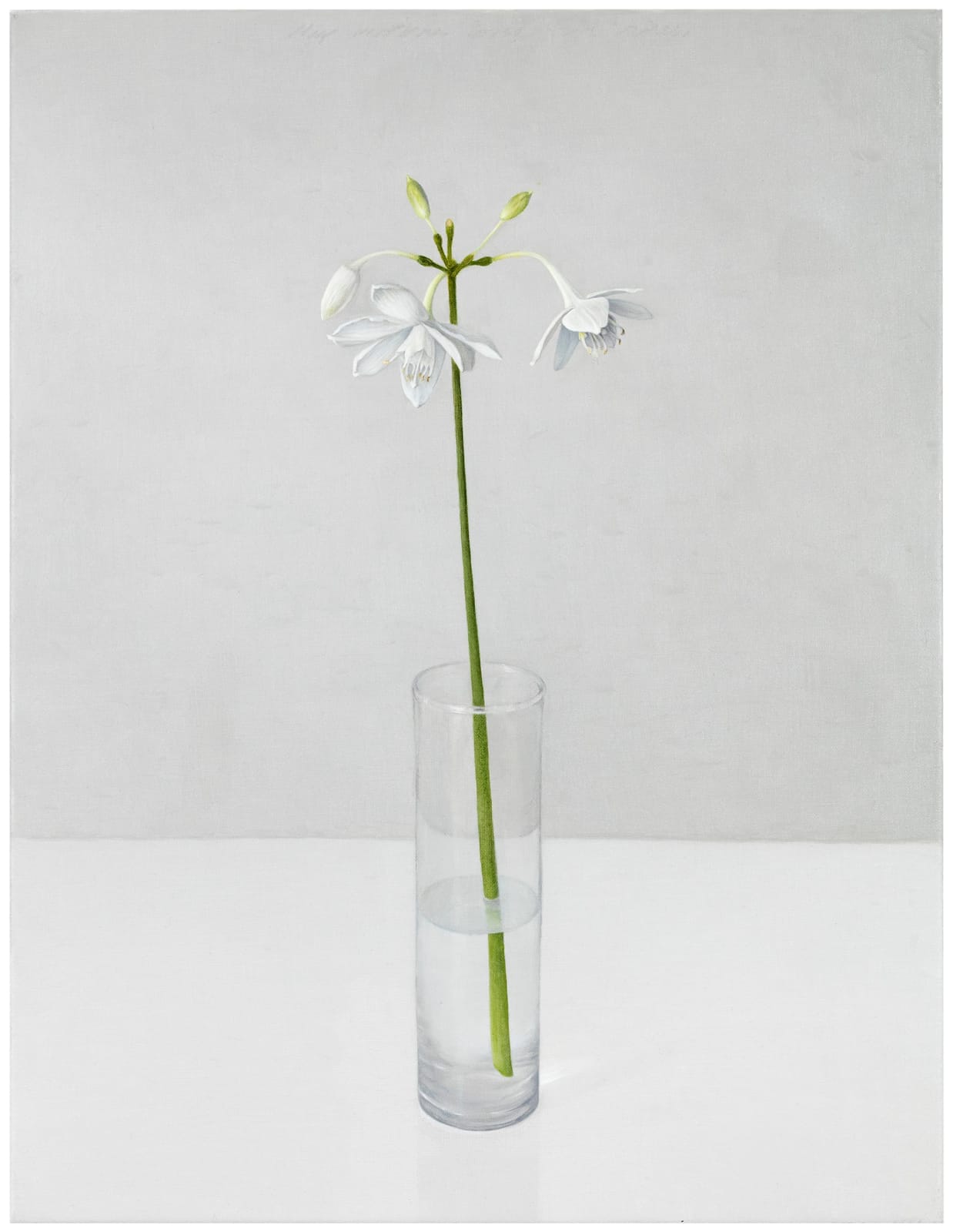 Anne Koskinen, My Mother Loved Red Roses IX, 2019