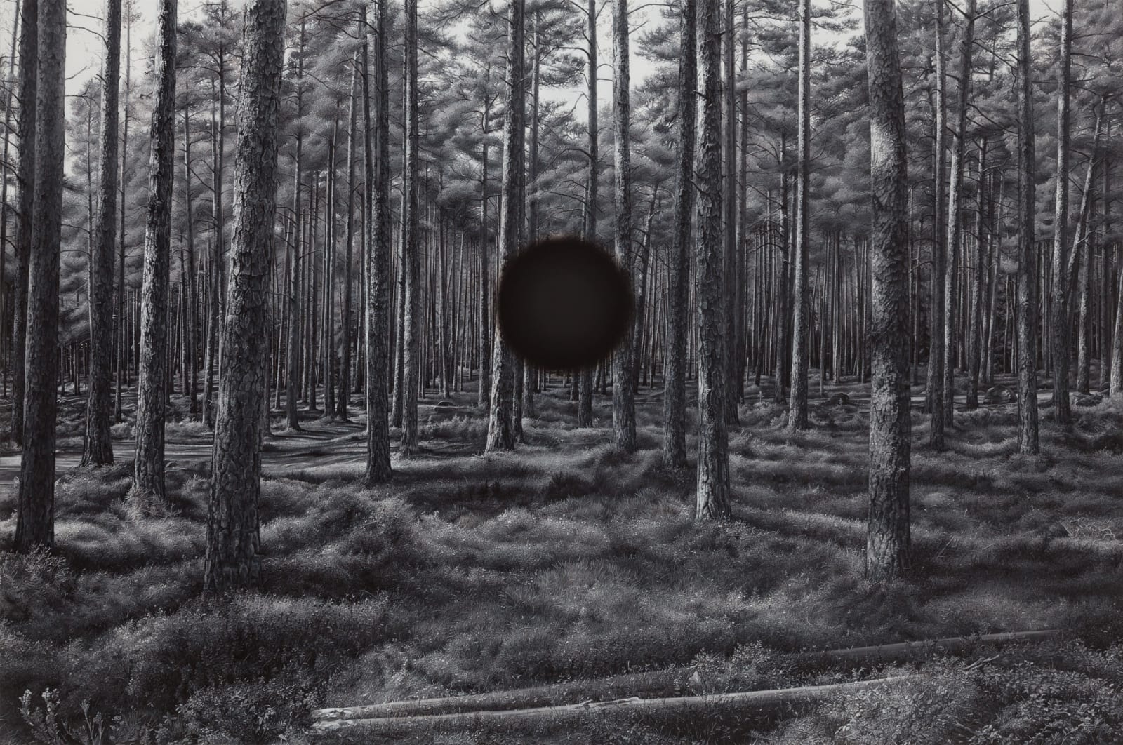 Kari Vehosalo, Object, 2023