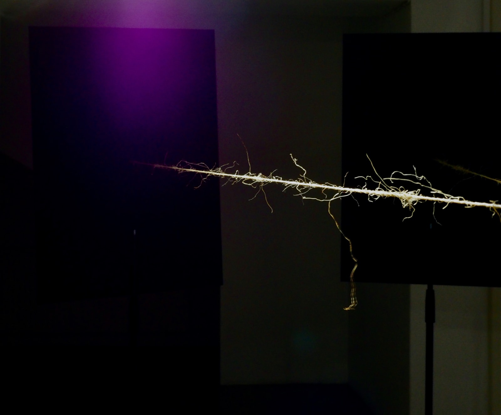 Marianthi Papalexandri-Alexandri, Untitled no ̊12, 2021