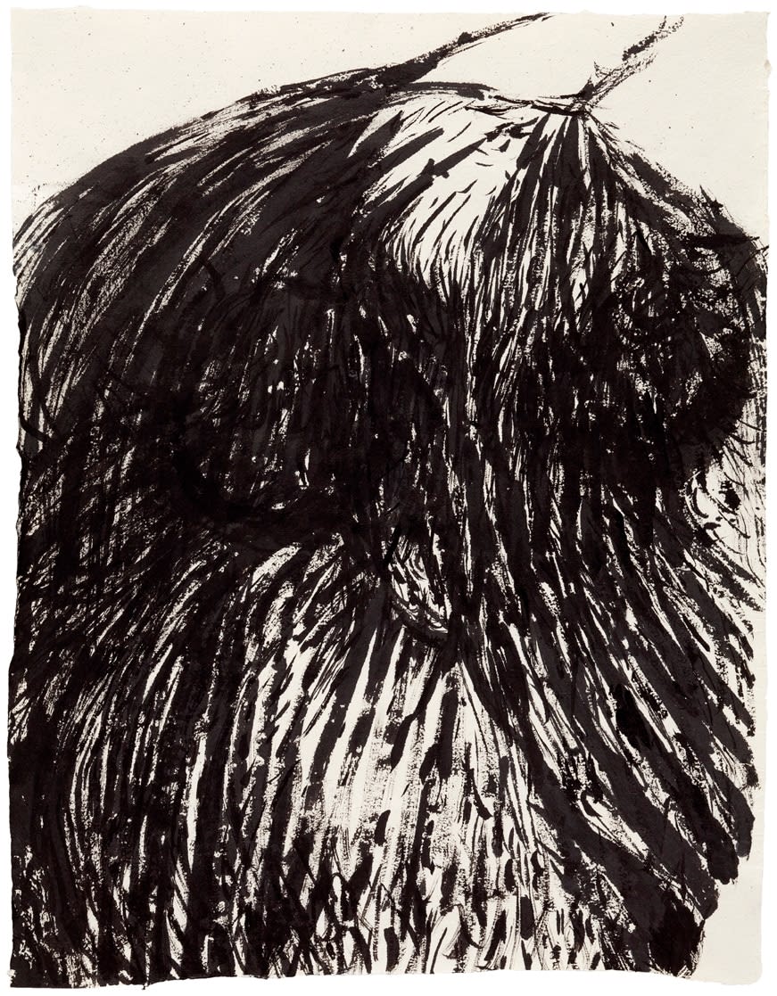 Elina Merenmies, Portrait of a Fly, 2012