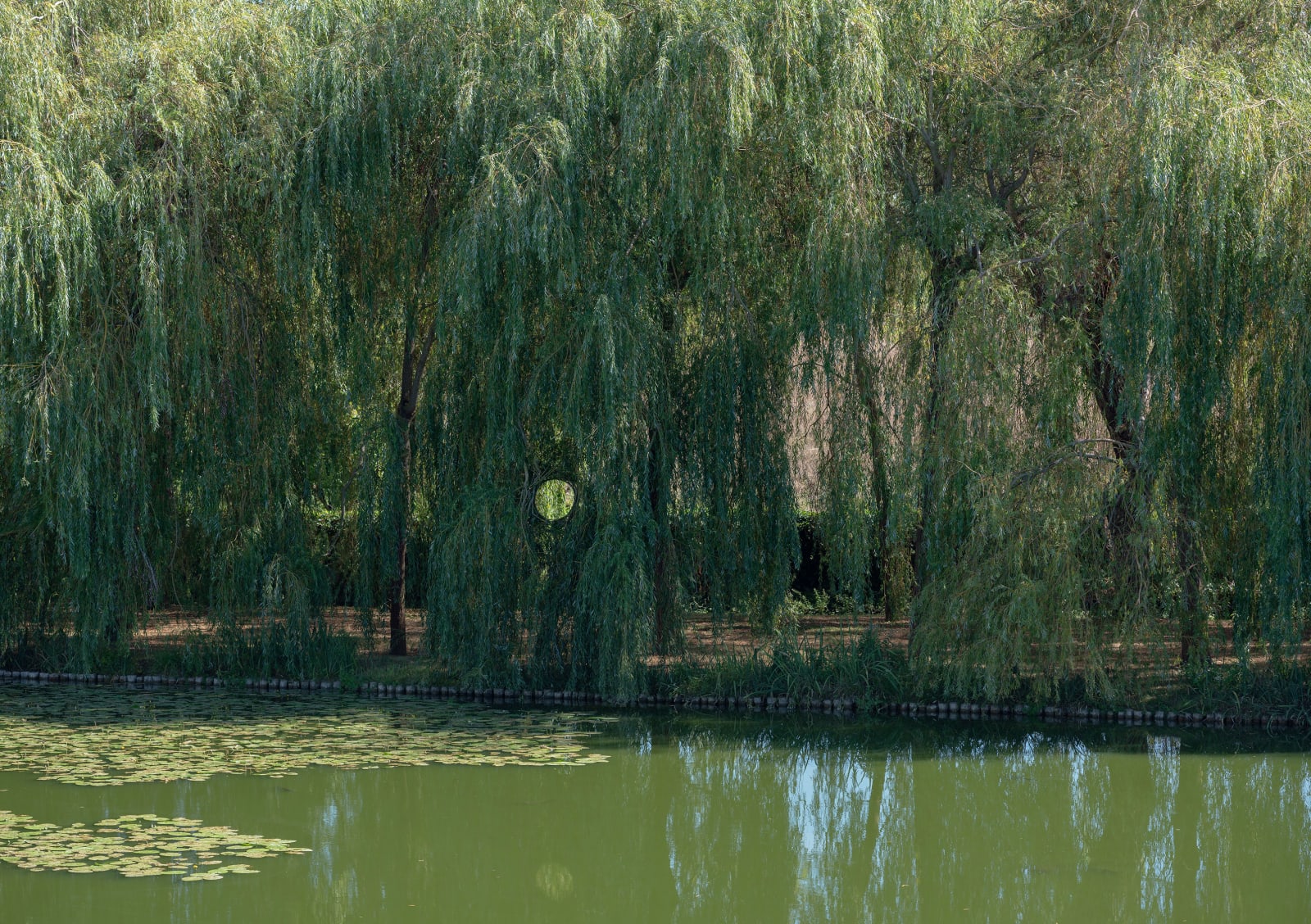 Antti Laitinen, Broken Landscape (Lafite), 2022