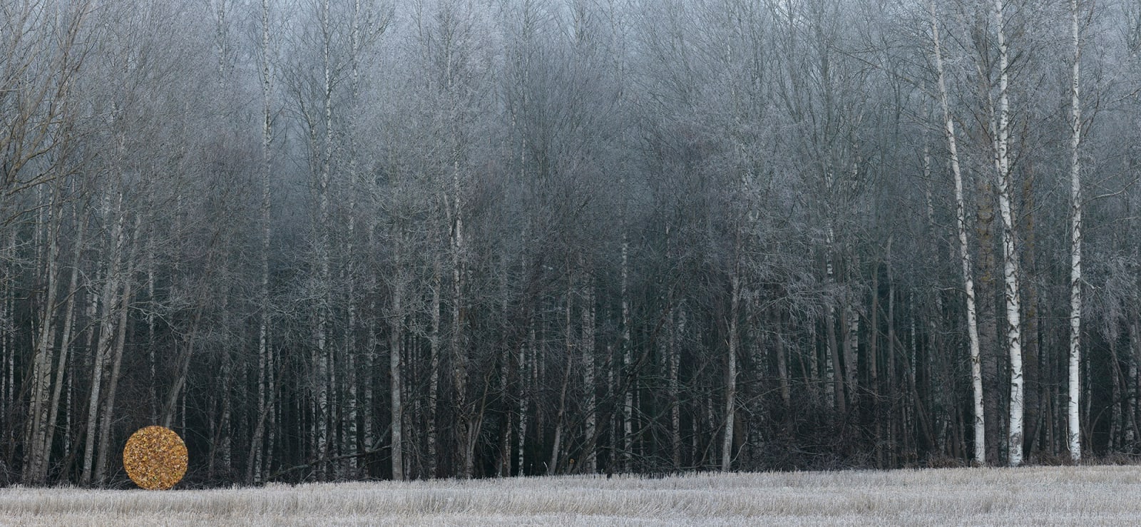 Antti Laitinen, Autumn Act II, 2021