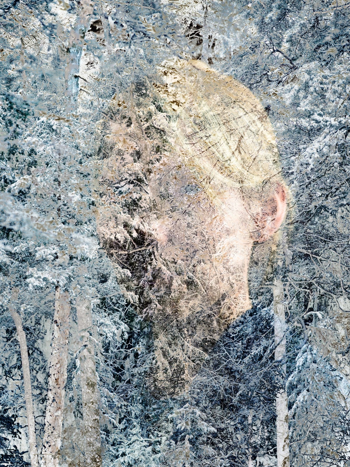 Santeri Tuori, Immediate Nature 4⎜Outi, 2023