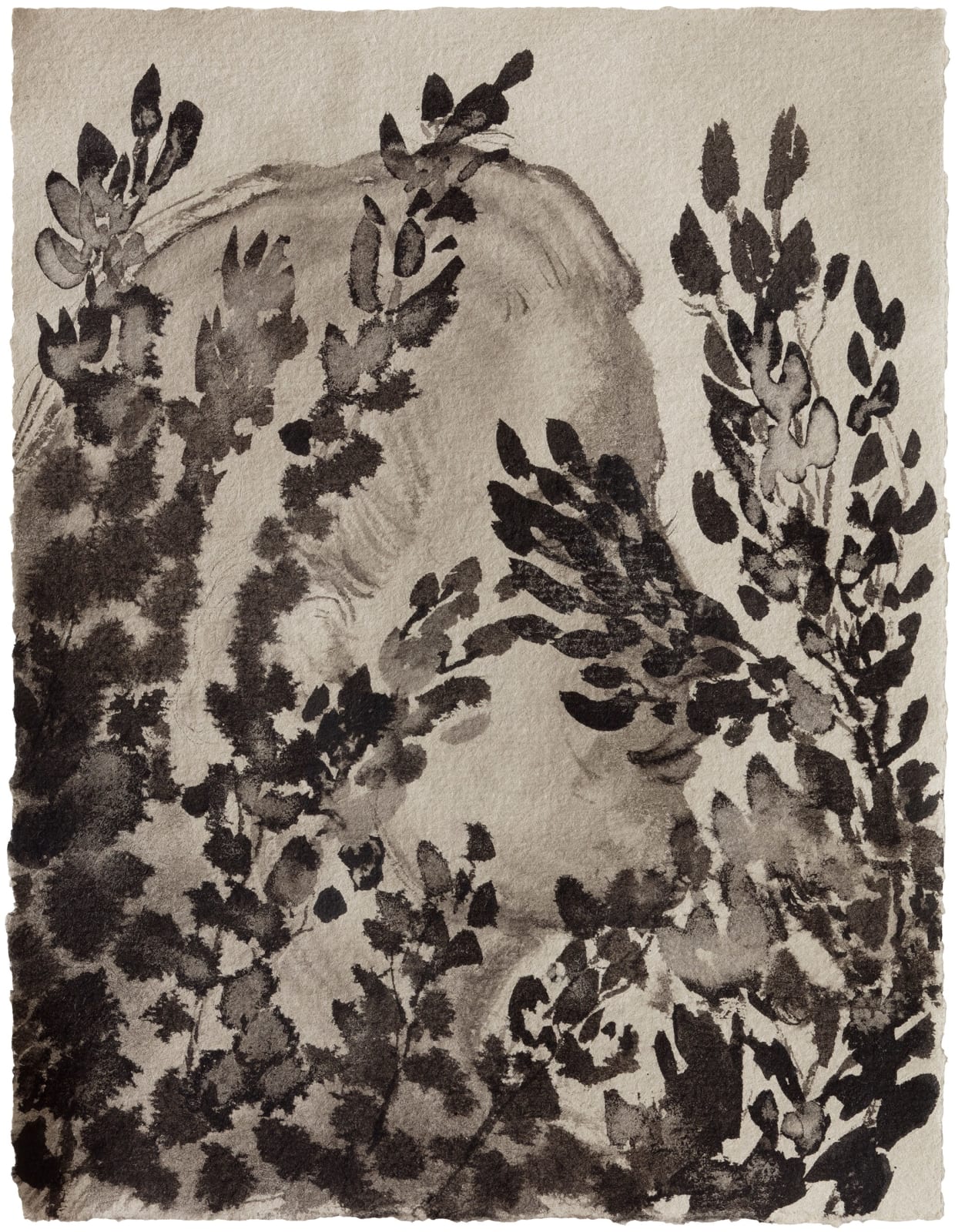 Elina Merenmies, Leopard, 2016