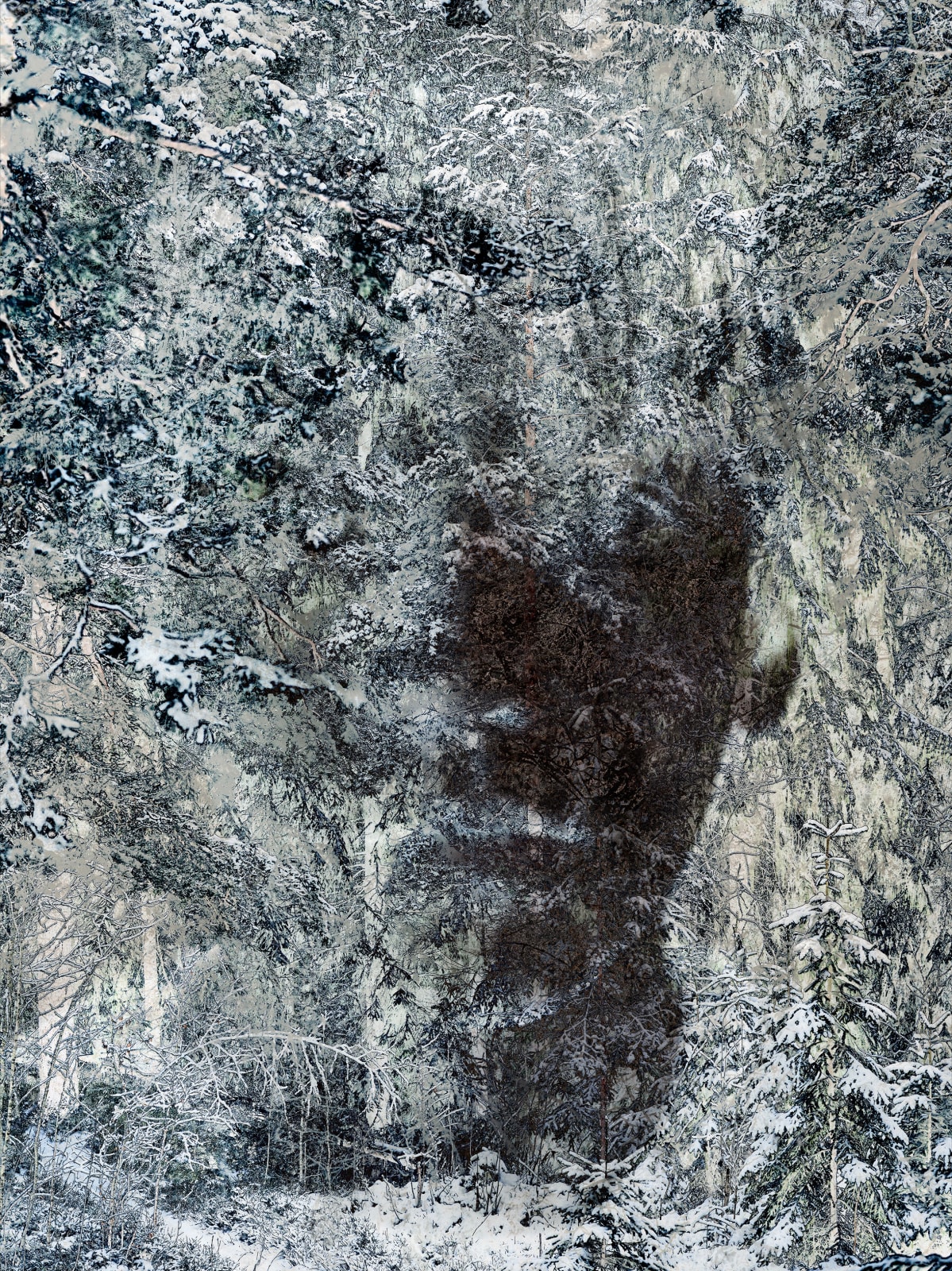 Santeri Tuori, Immediate Nature 2 ⎜ Niila, 2023