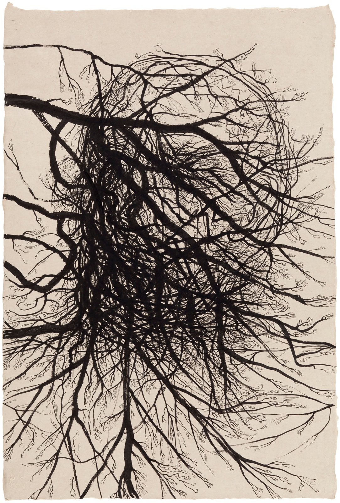 Elina Merenmies, Puun sana / Trädets ord / Word of Tree, 2015
