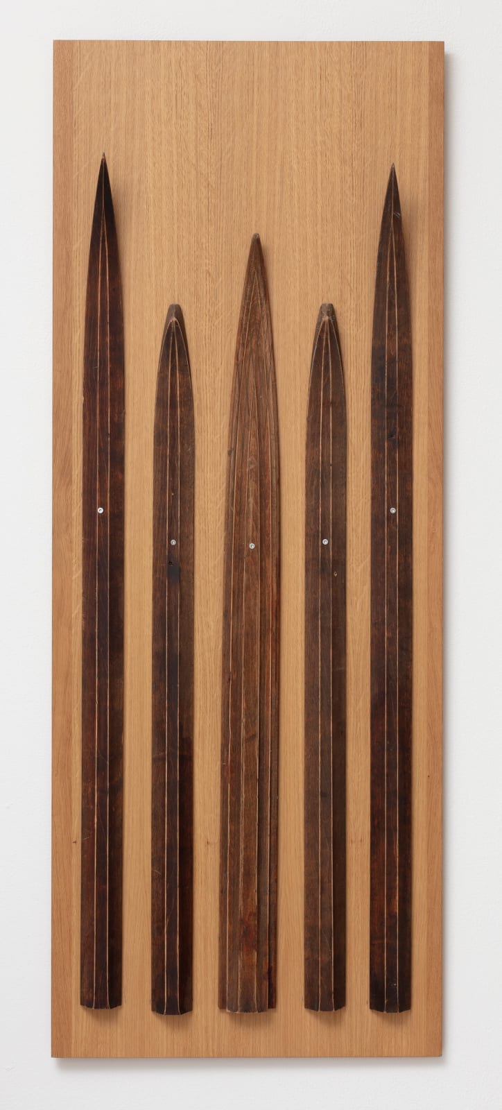 Kari Cavén, Tiu tau peippo, hyvin luistaa sukset, 2024