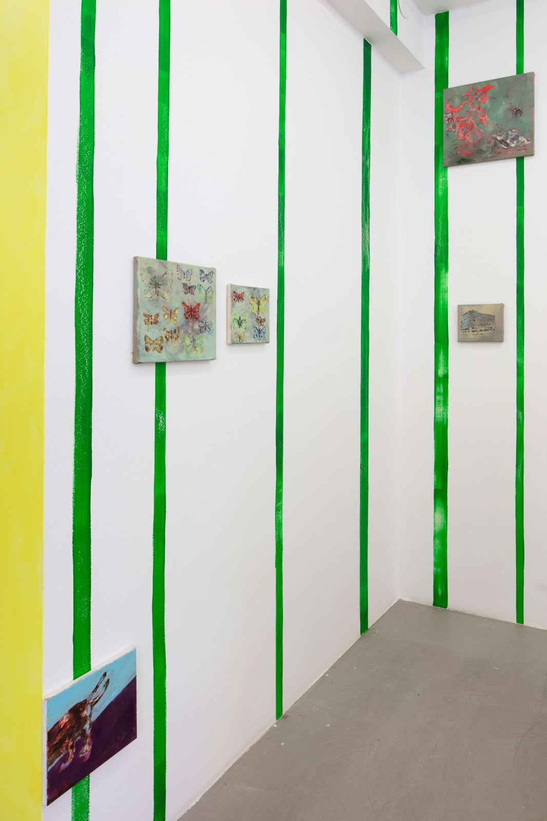 Anna Tuori, Phengaris teleius burdigalensis, 2024