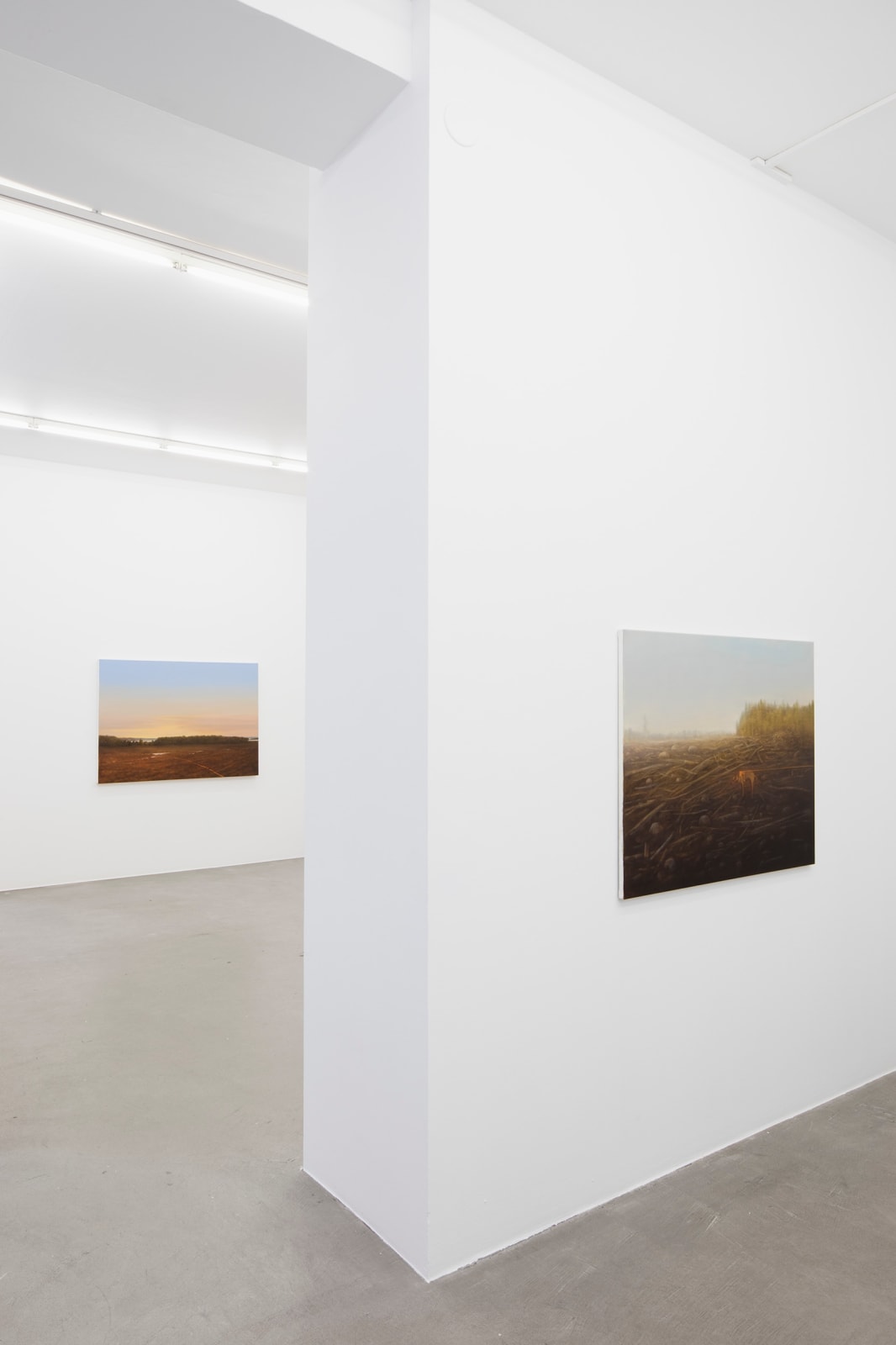 Anne Koskinen, Suchbild, 2022