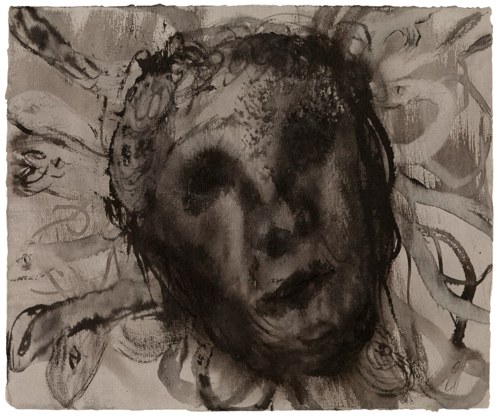 Elina Merenmies, Hirveä Medusa / Förskräckliga Medusan / The Terrible Medusa, 2013