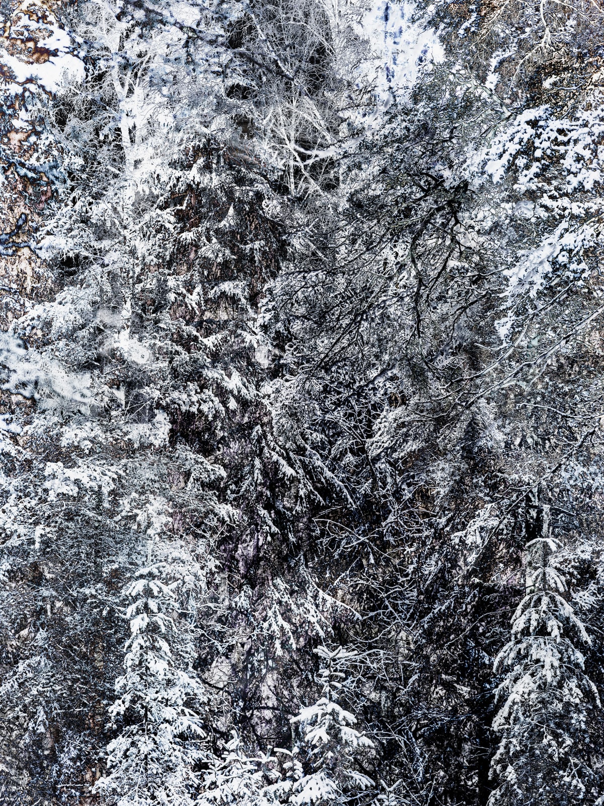 Santeri Tuori, Immediate Nature 5 ⎜Ilona, 2023