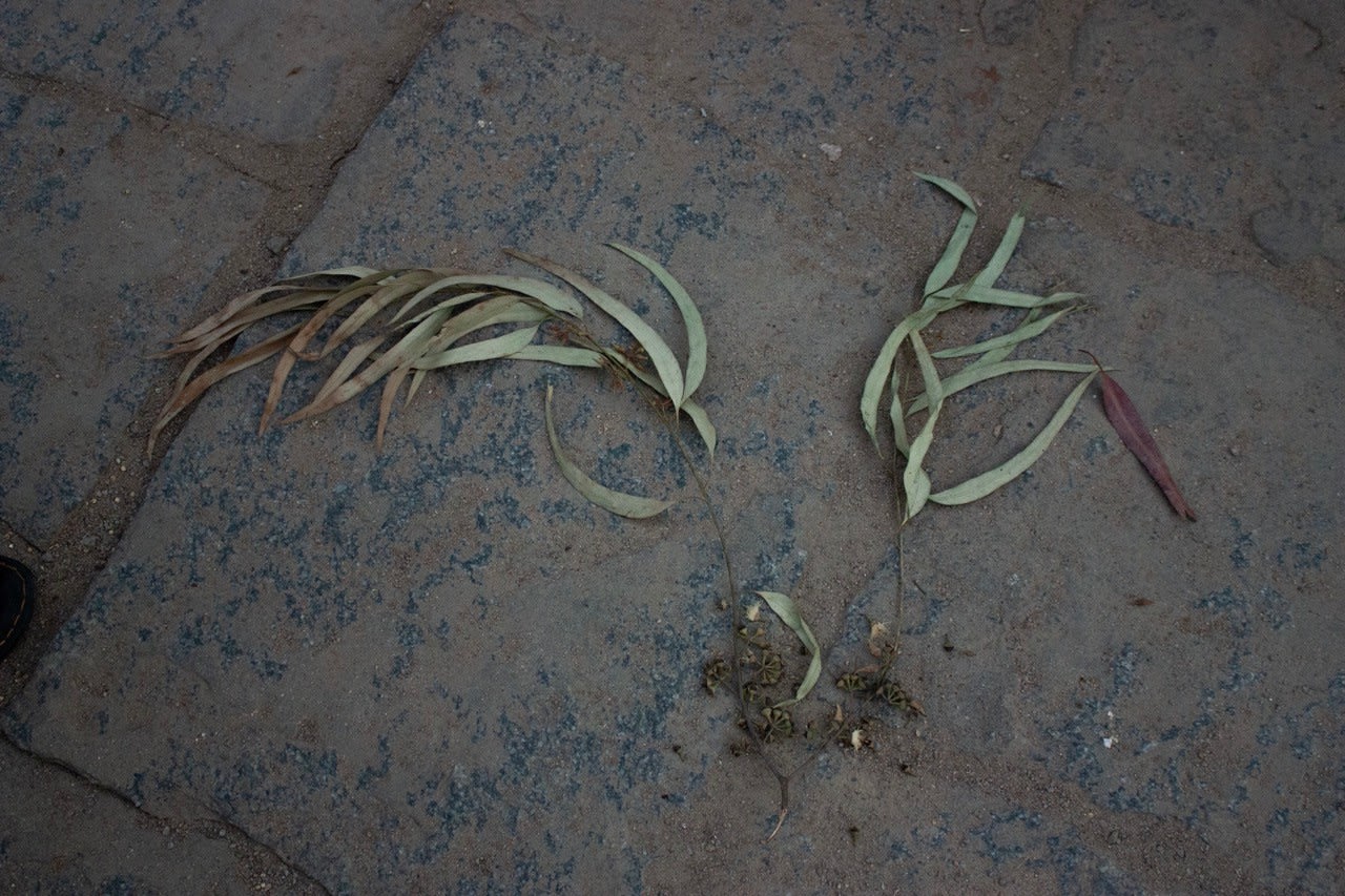 Phu Lang Sa Collabtive, Maya de Vulpillières, Hampi, India, 2023