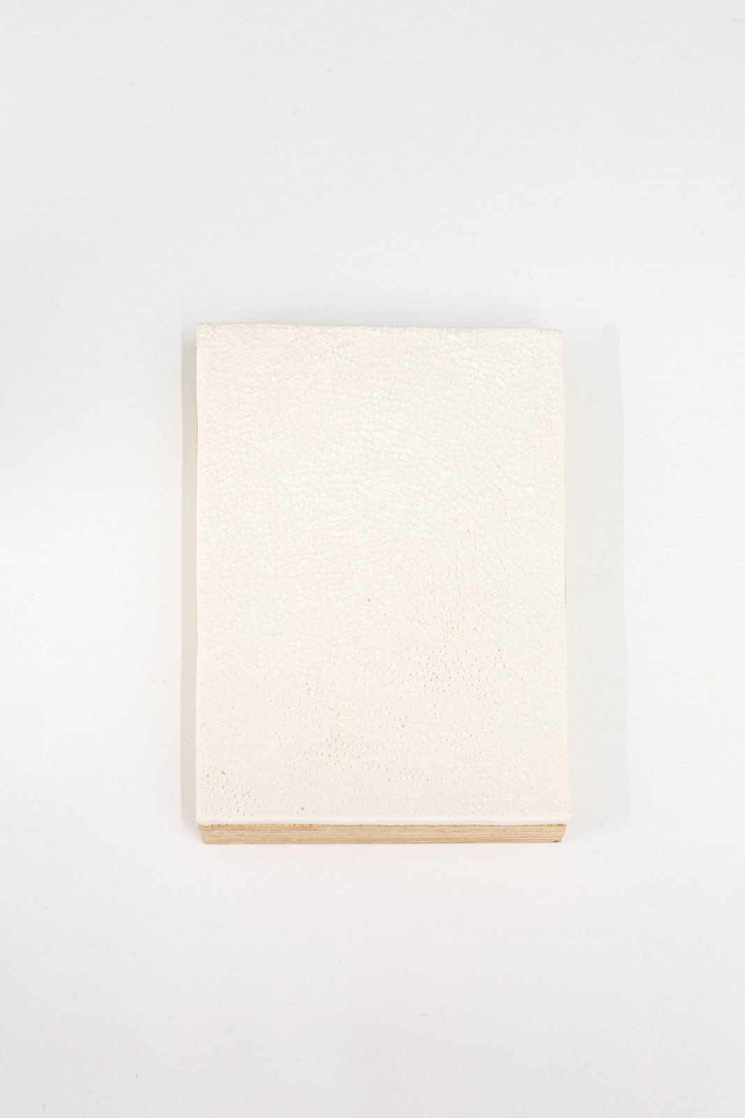 Andrea Nones Kobiakov, maqueta para piel de gallina II, 2024