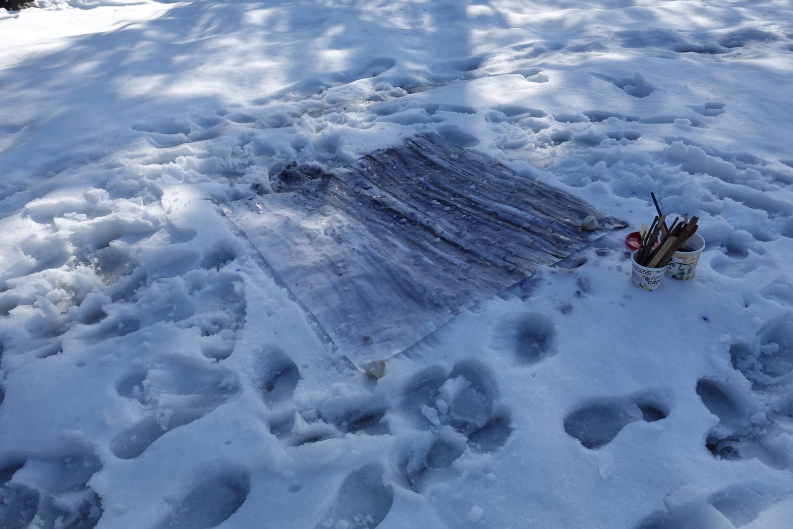 Đỗ-Nguyễn Lập-Xuân, In Time For Spring Delay (03.2) - The Snow, 2023