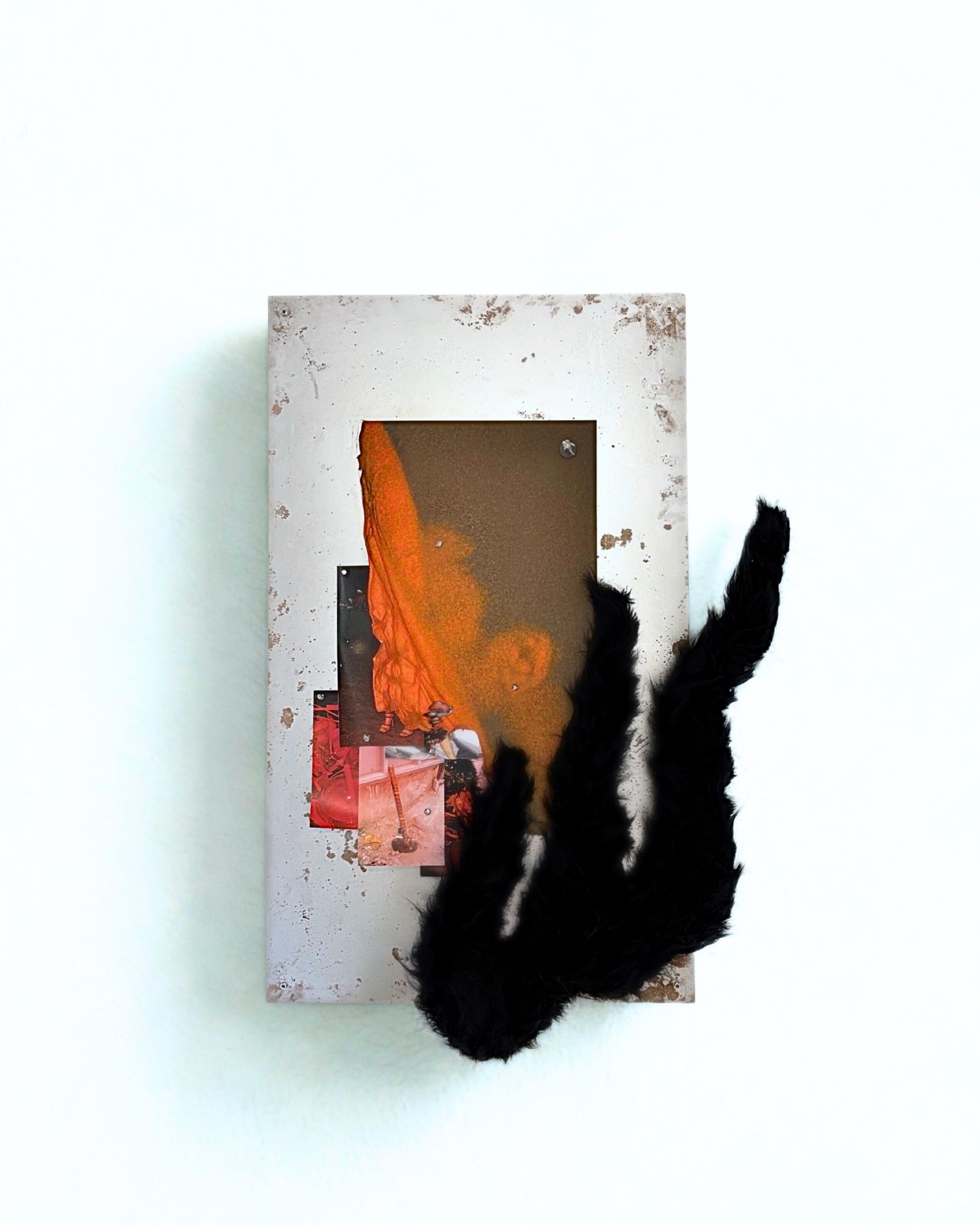 Prune Phi, Burnt, 2022