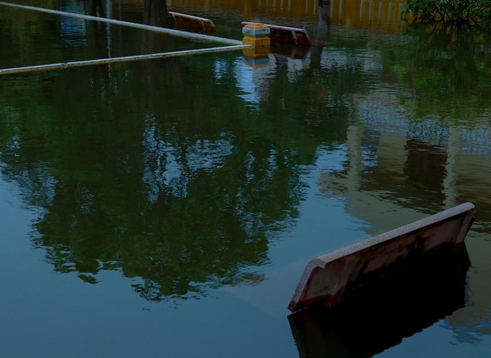 Huỳnh Công-Nhớ, The Pair Of Canaries (Đôi Chim Hoàng Yến), 2023