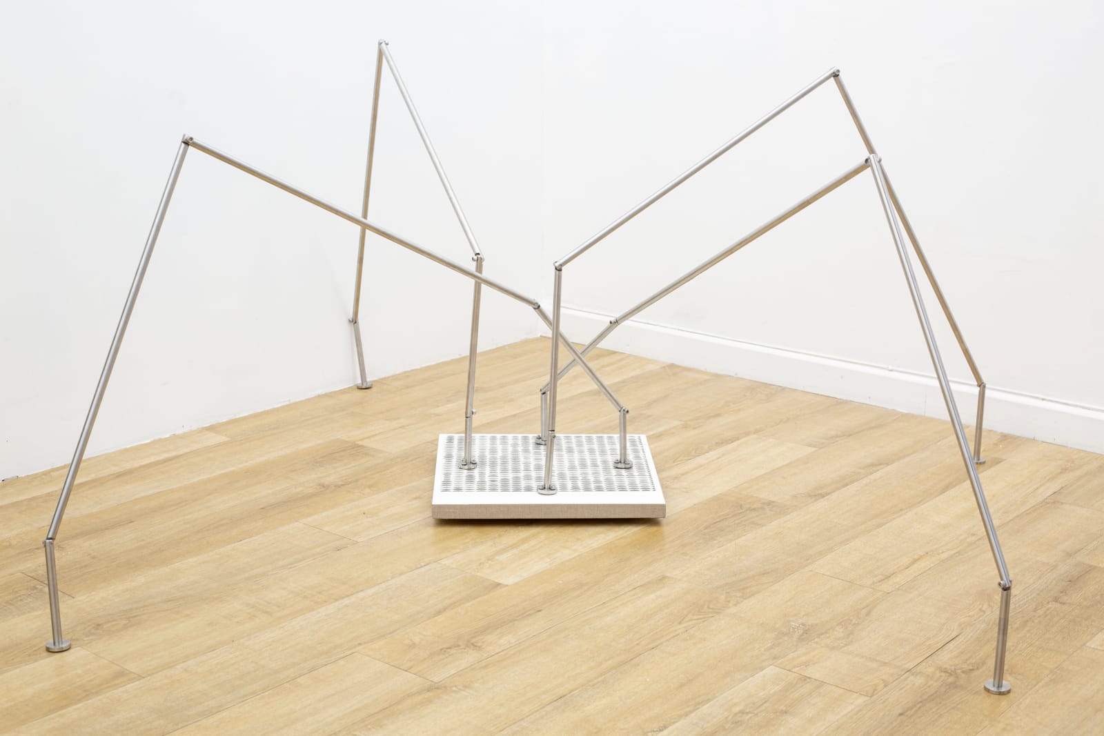 Madeline Jiménez Santil, A drawing that can walk on rocks, 2024