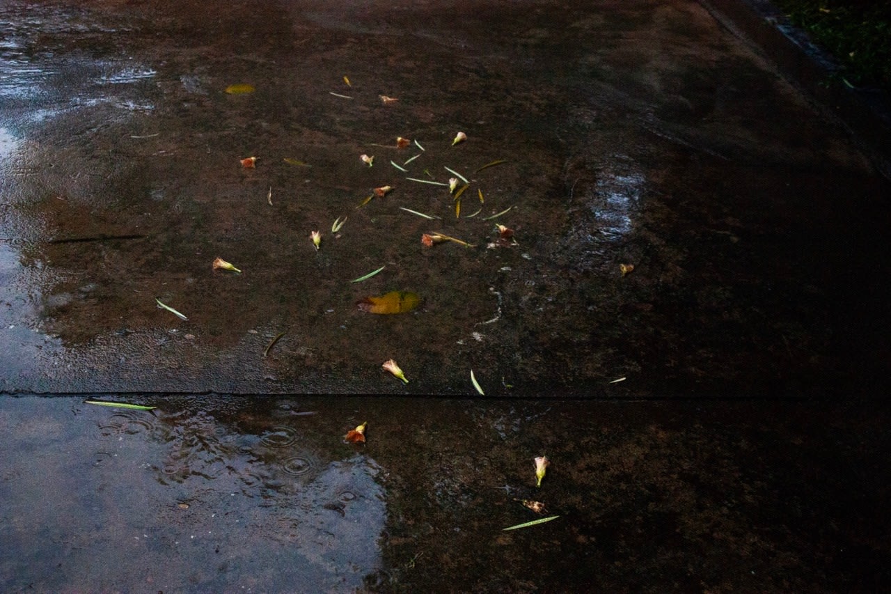 Phu Lang Sa Collabtive , Maya de Vulpillières, Phnom Penh, Cambodia, 2023