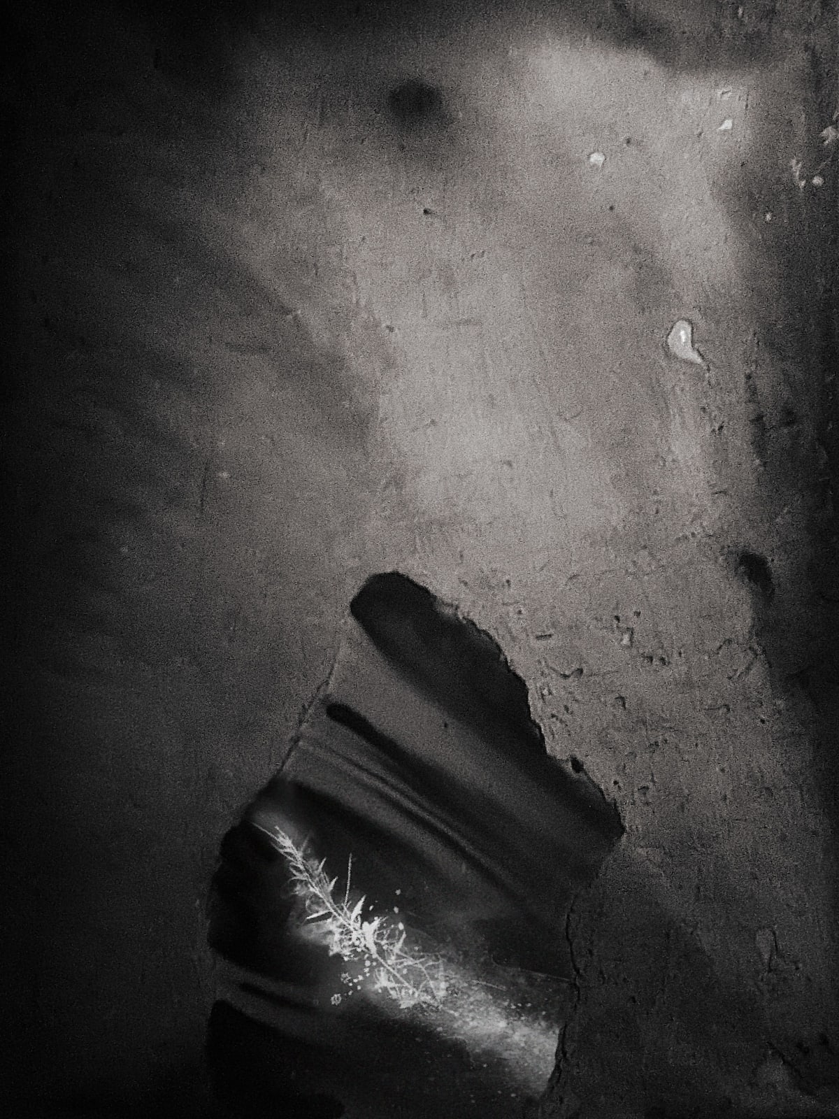 Đỗ Tuấn-Anh, Fragile #3, 2018