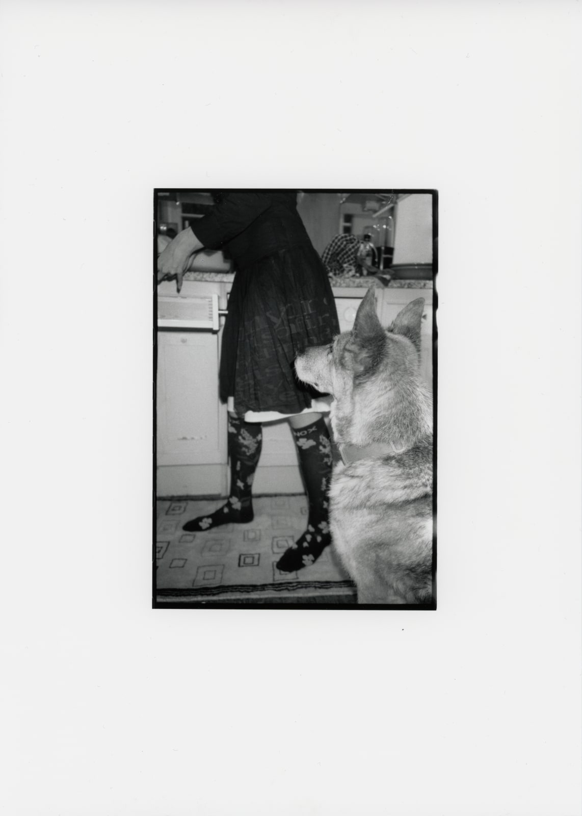 Jack Hogan, Stream Photo 1, 2025