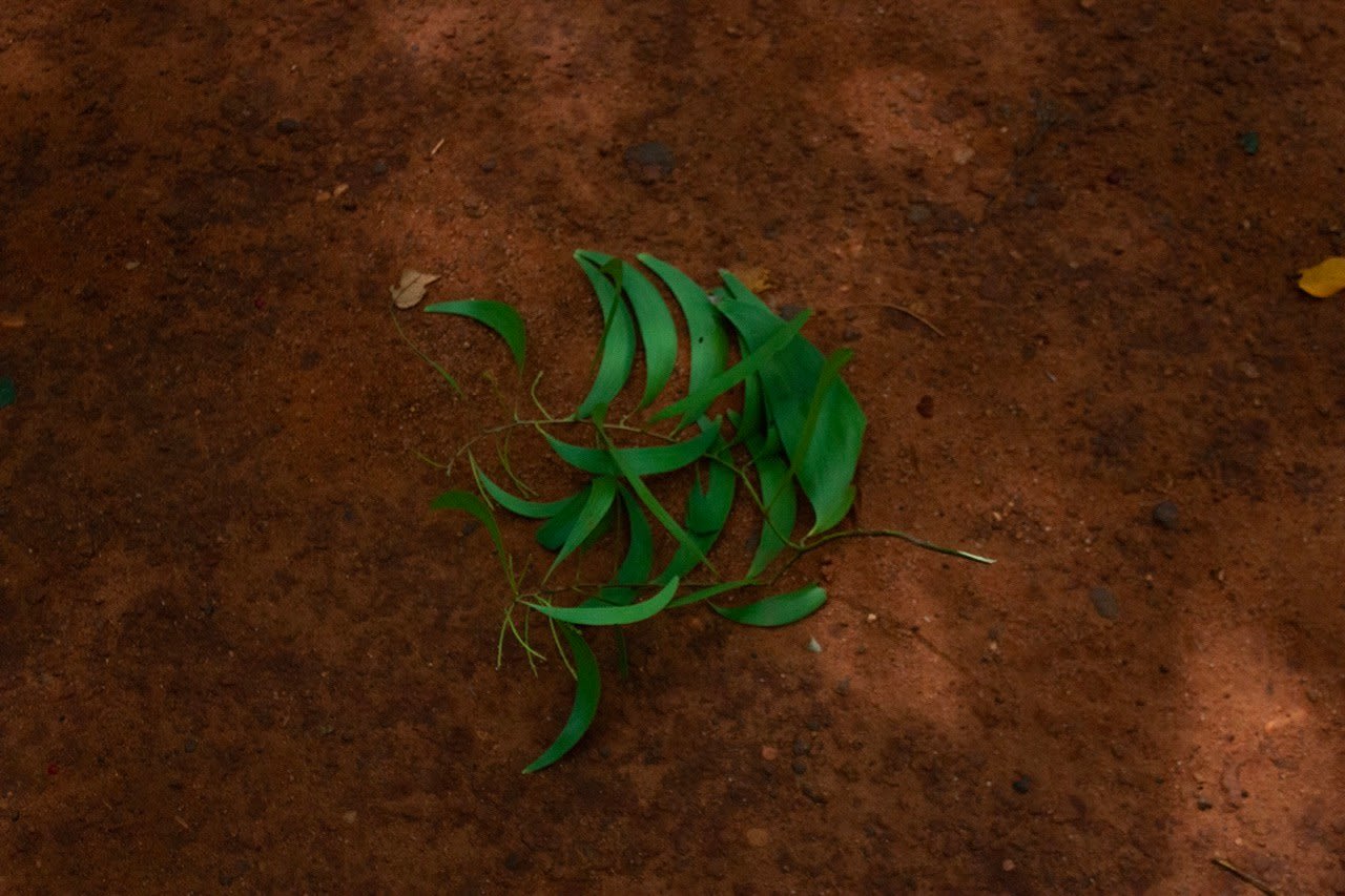 Phu Lang Sa Collabtive, Maya de Vulpillières, Auroville, India, 2023