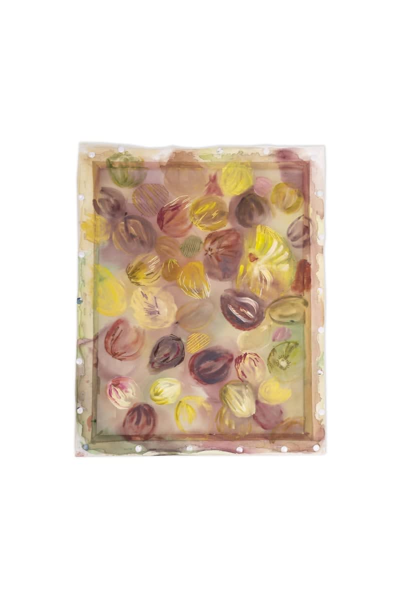 Laura Mateare, Frutta, 2025