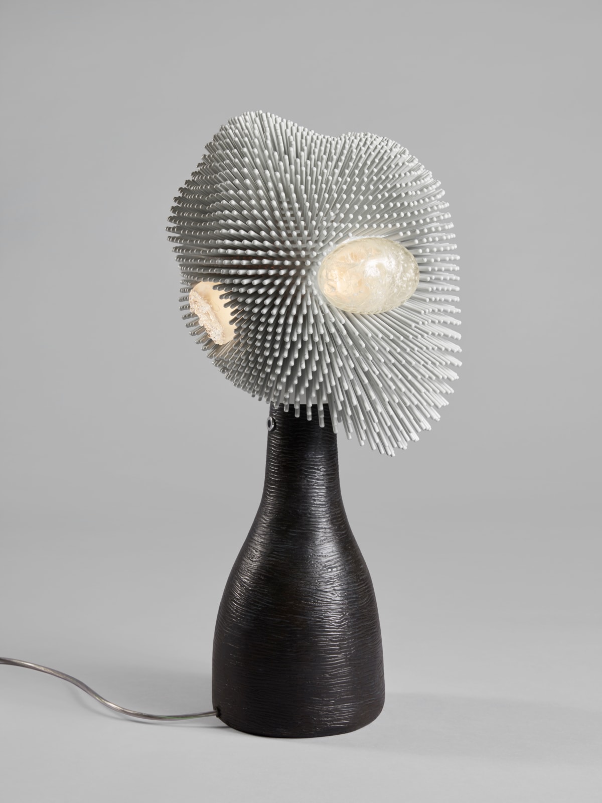 Pia Maria Raeder, Sea Anemone 18 & 19