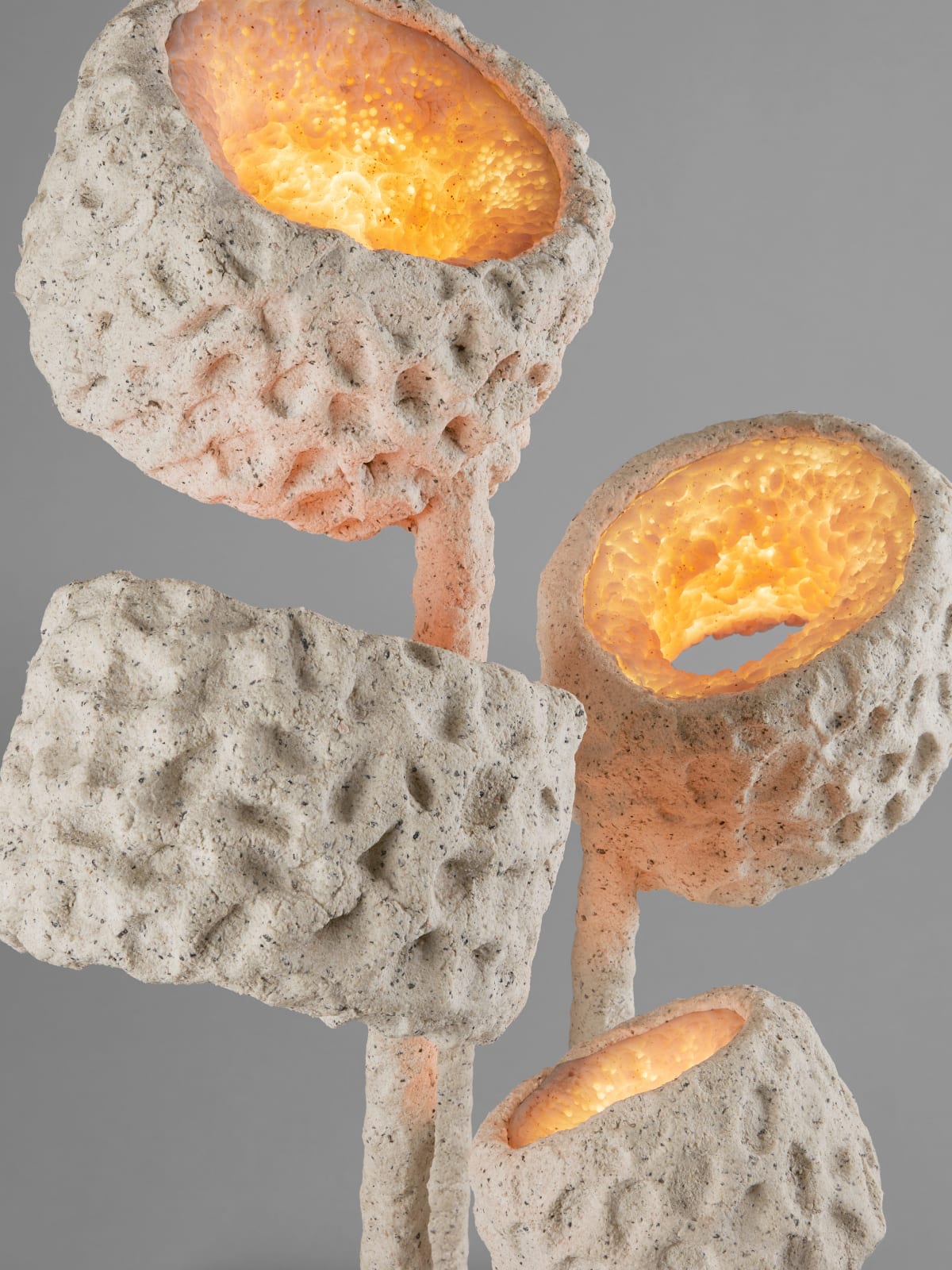 Nacho Carbonell, Luciferase XLIX