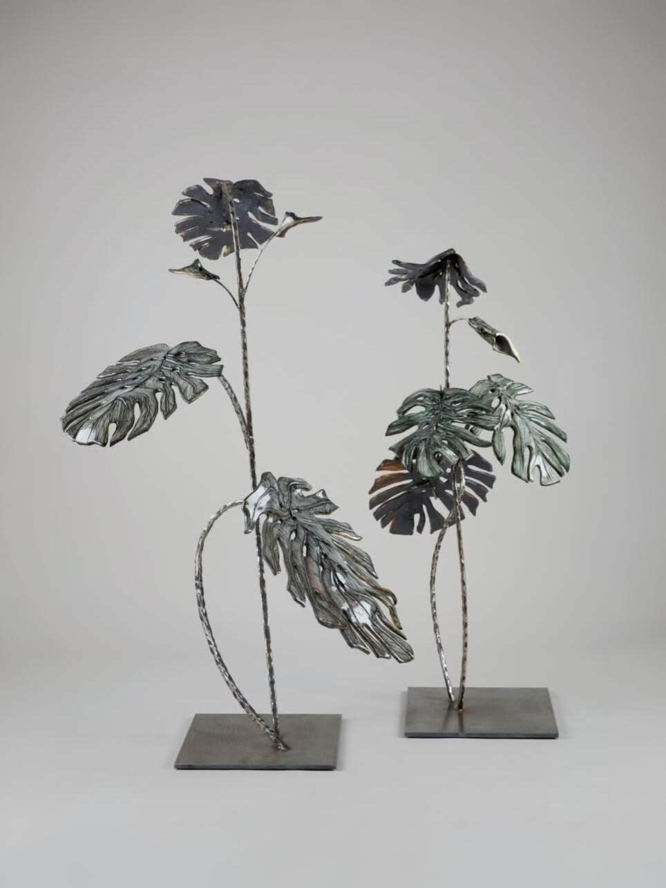 Charlotte Cornaton, Monstera Deliciosa II