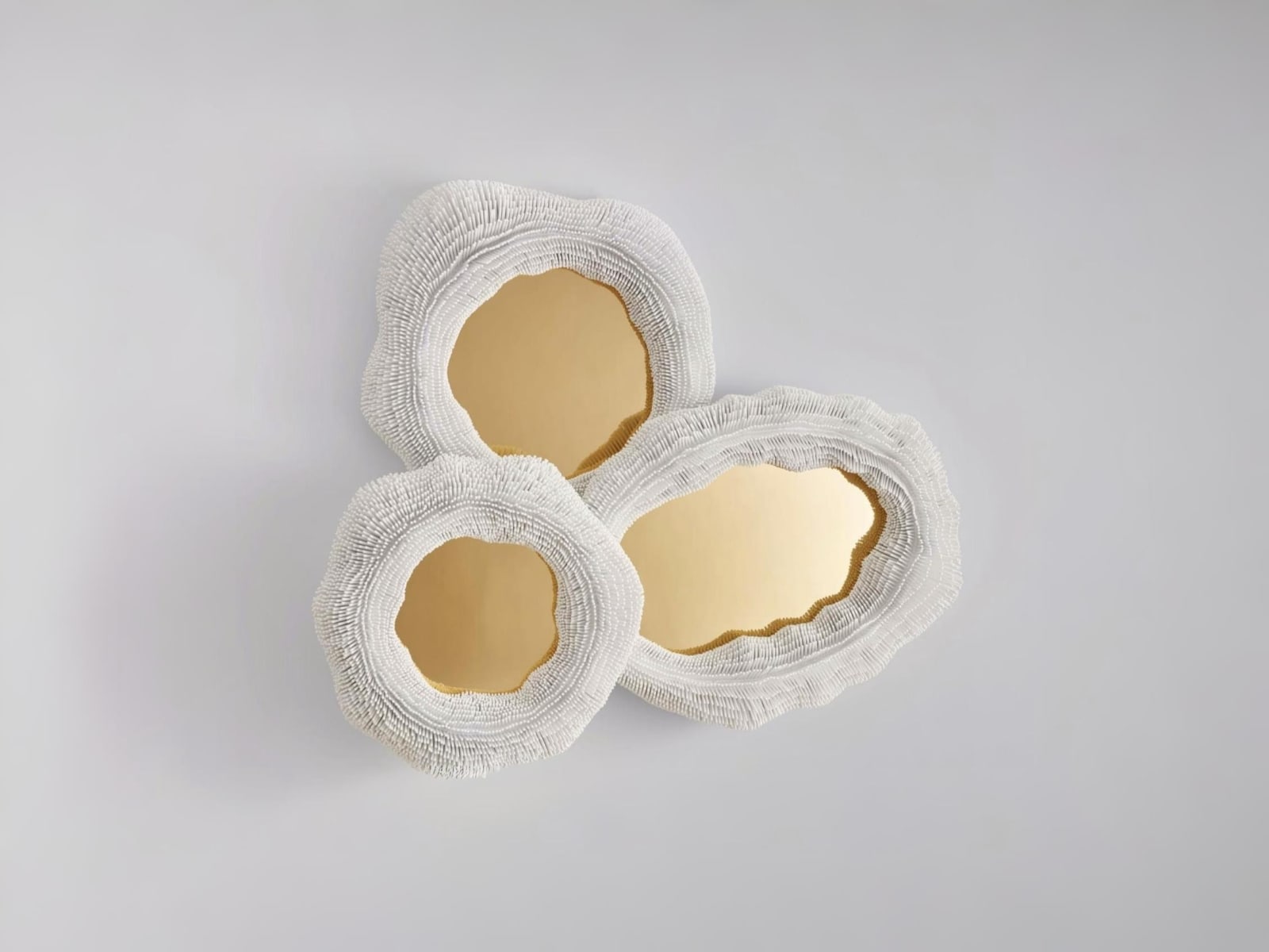 Pia Maria Raeder, Sea Anemone 15