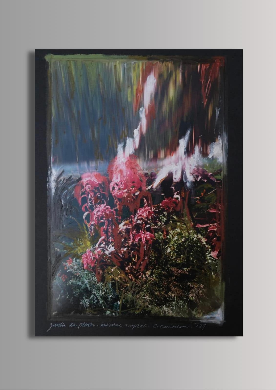 Charlotte Cornaton, Amaranthus XIV