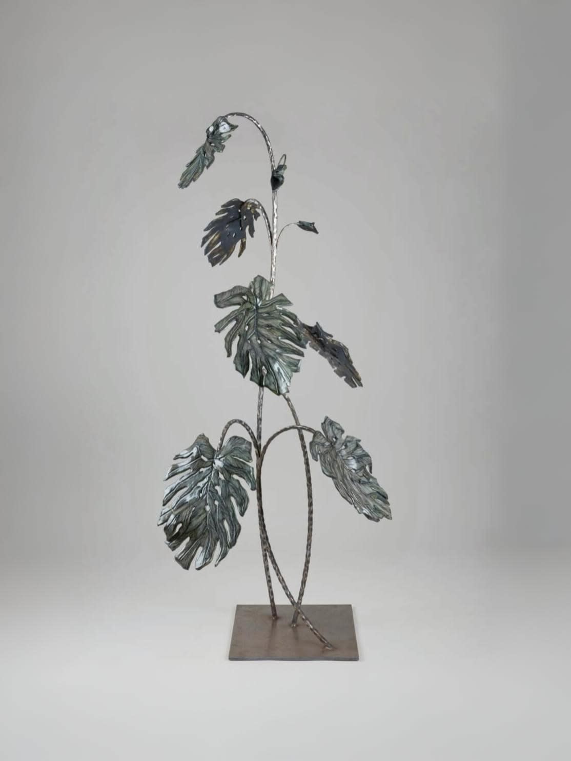 Charlotte Cornaton, Monstera Deliciosa I