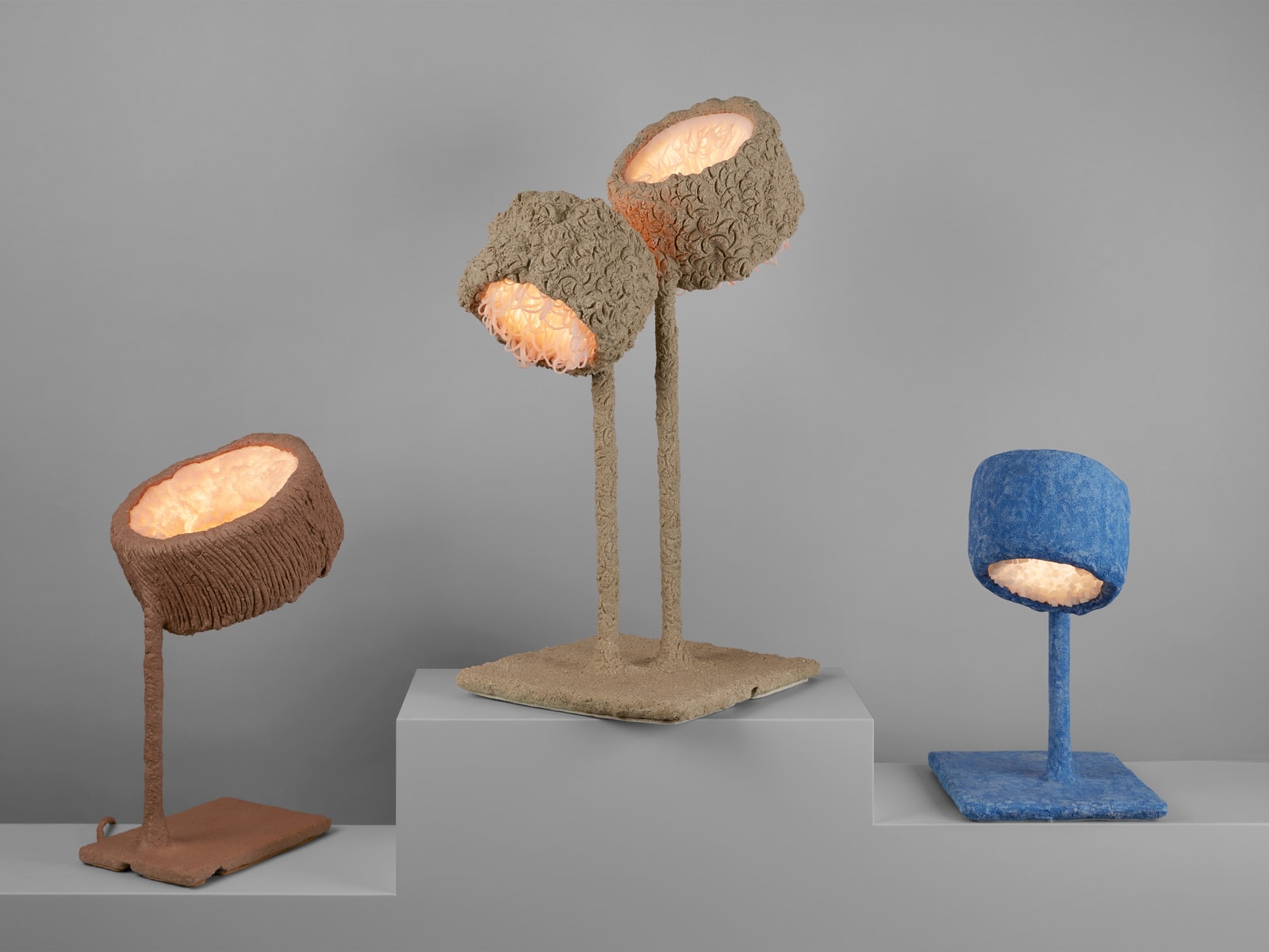 Nacho Carbonell, Luciferase LIV