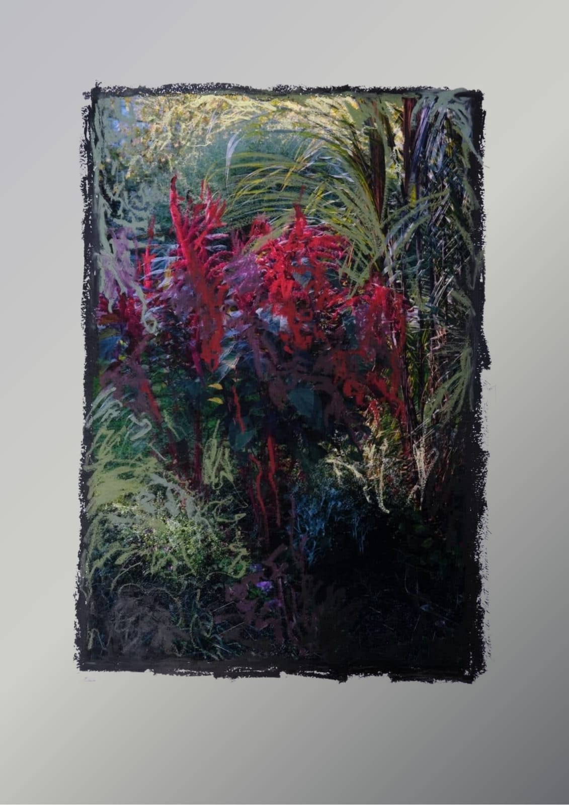 Charlotte Cornaton, Amaranthus III