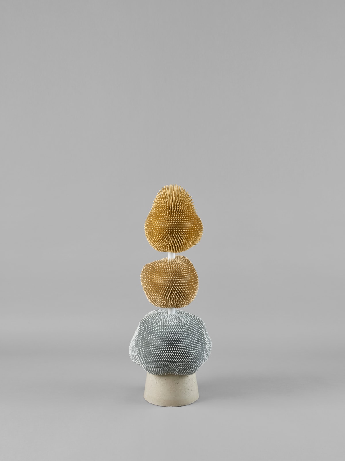 Pia Maria Raeder, Sea Anemone 24