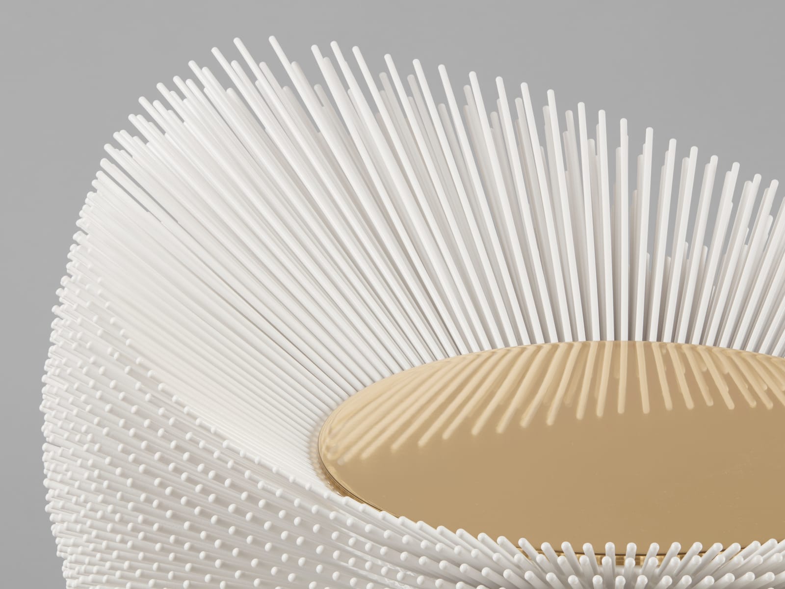 Pia Maria Raeder, Sea Anemone 1