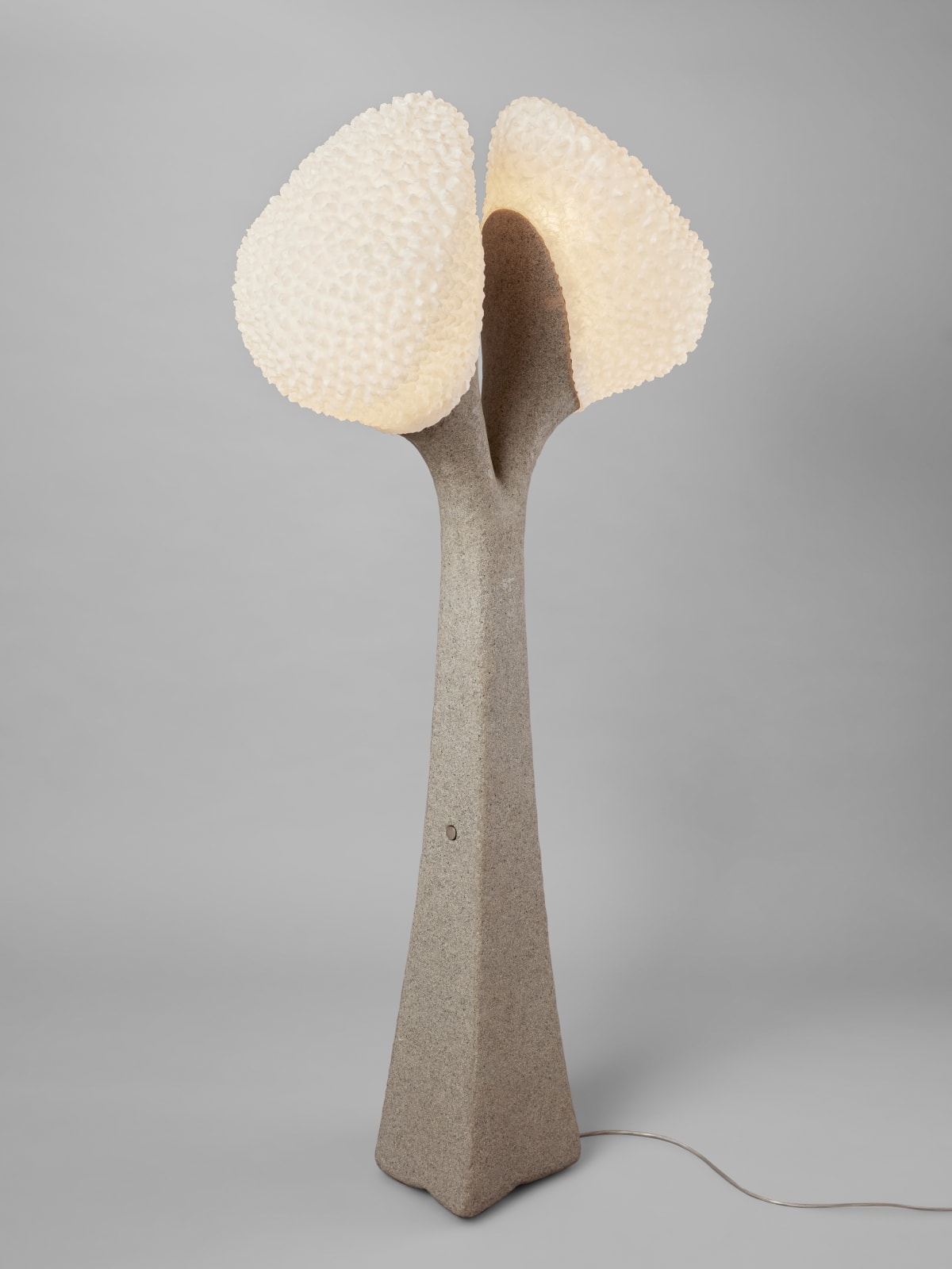 Ayala Serfaty, Chaga, 2018
