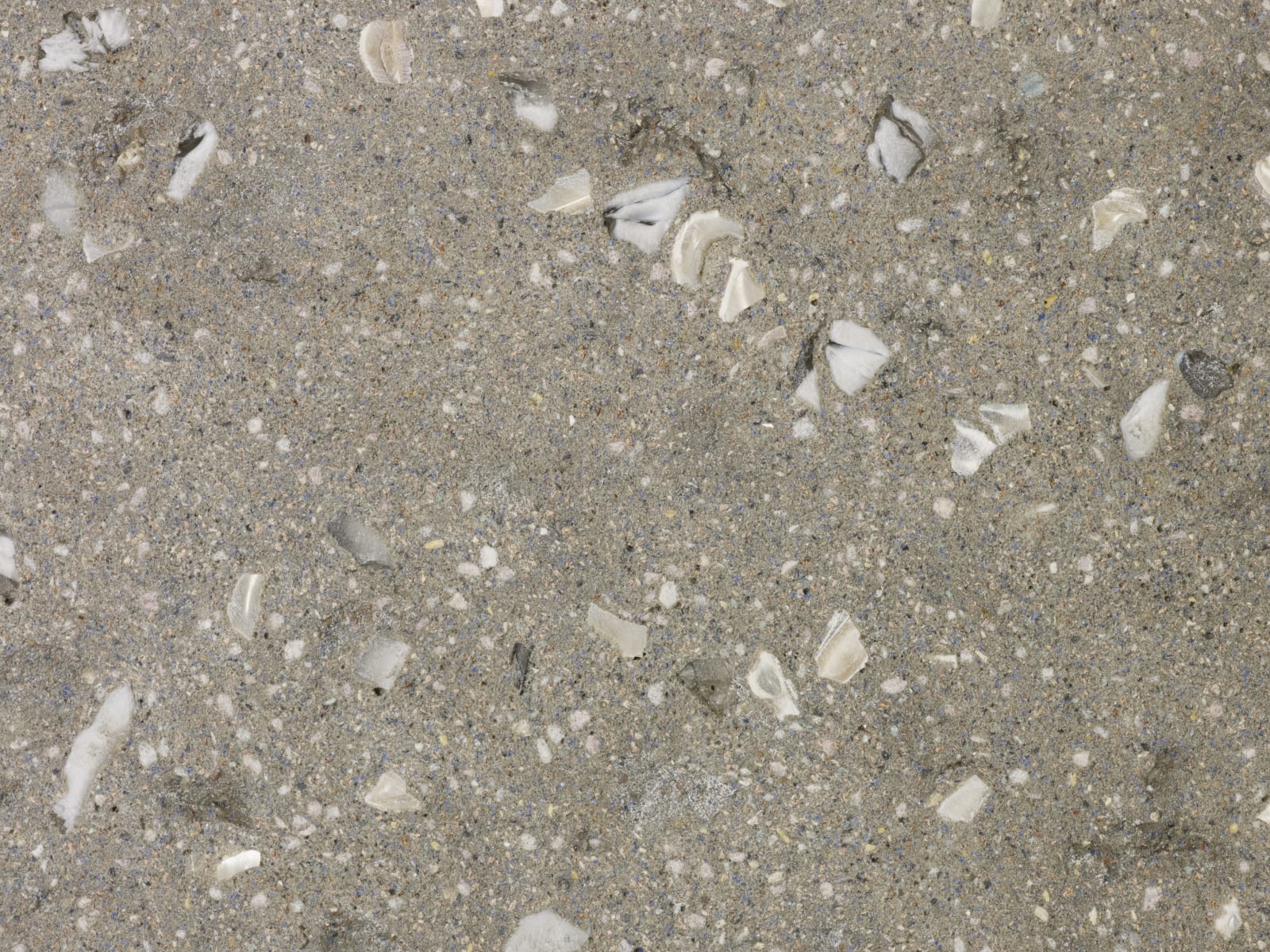 Nacho Carbonell, Luciferase XLII